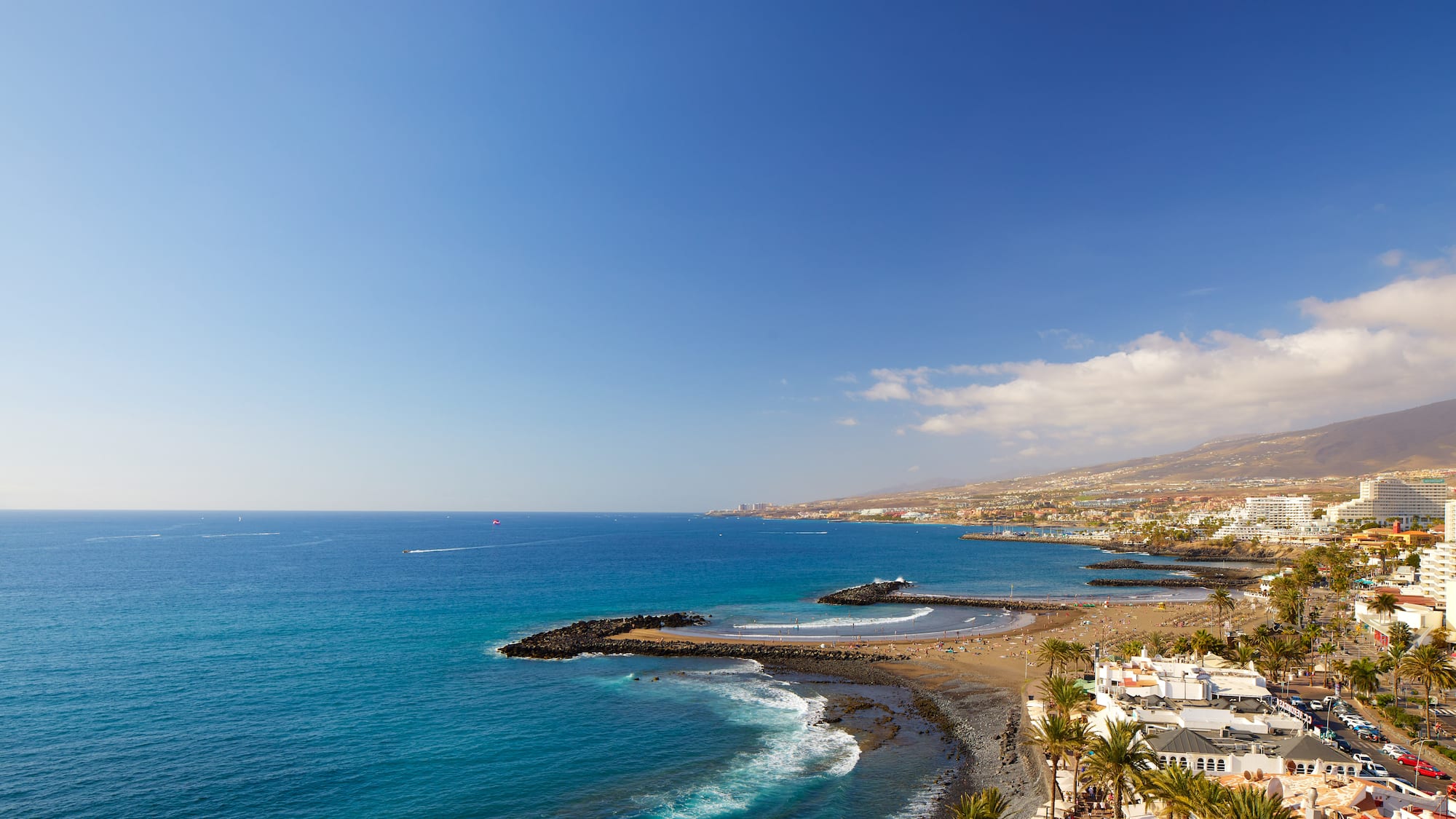 a beach with buildings and palm trees