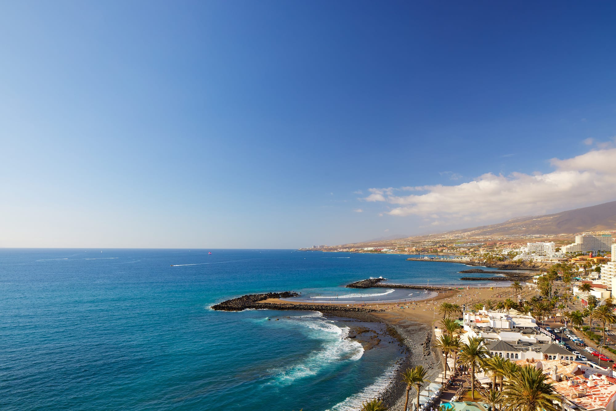 a beach with buildings and palm trees