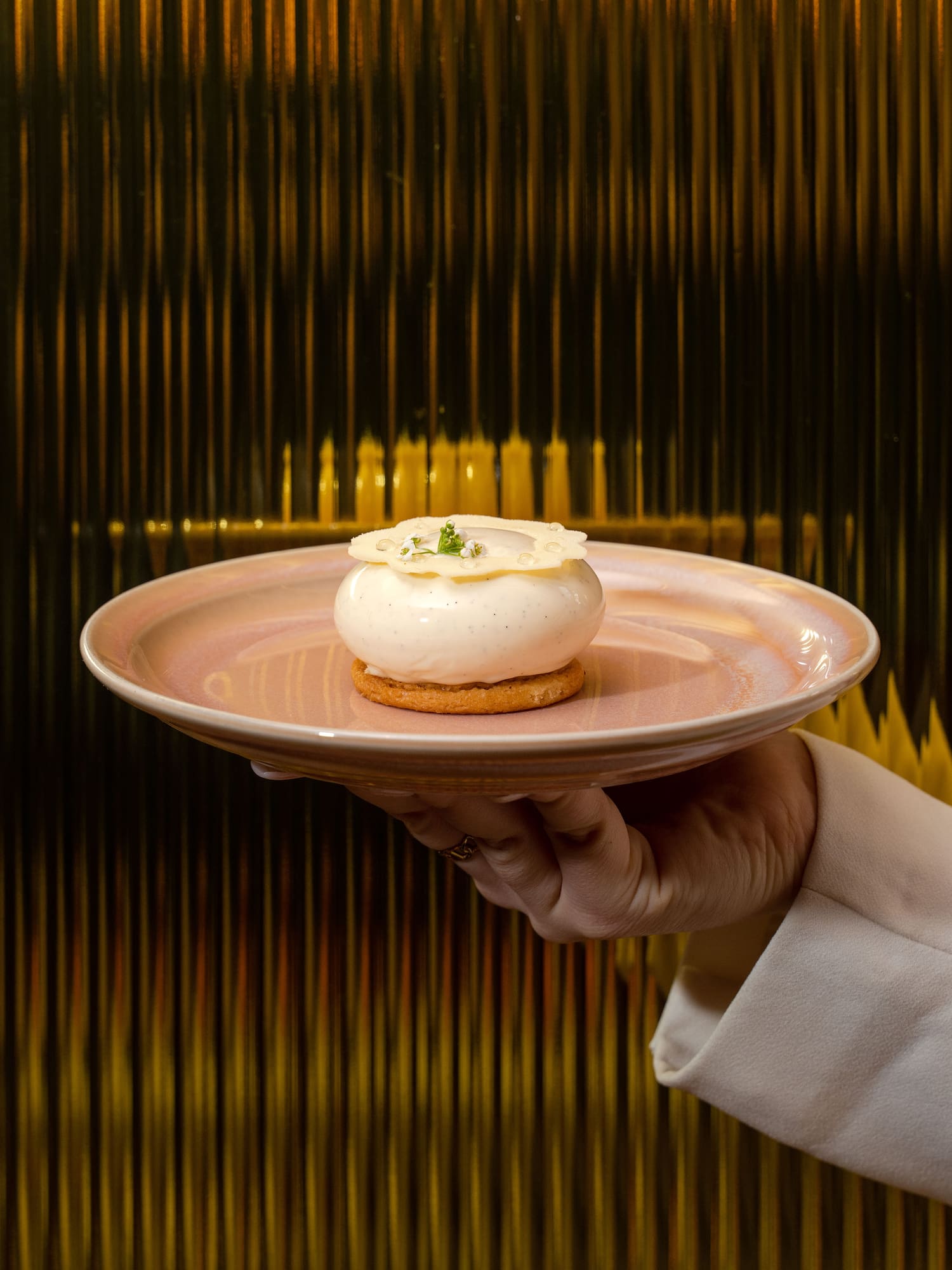 a hand holding a plate of food