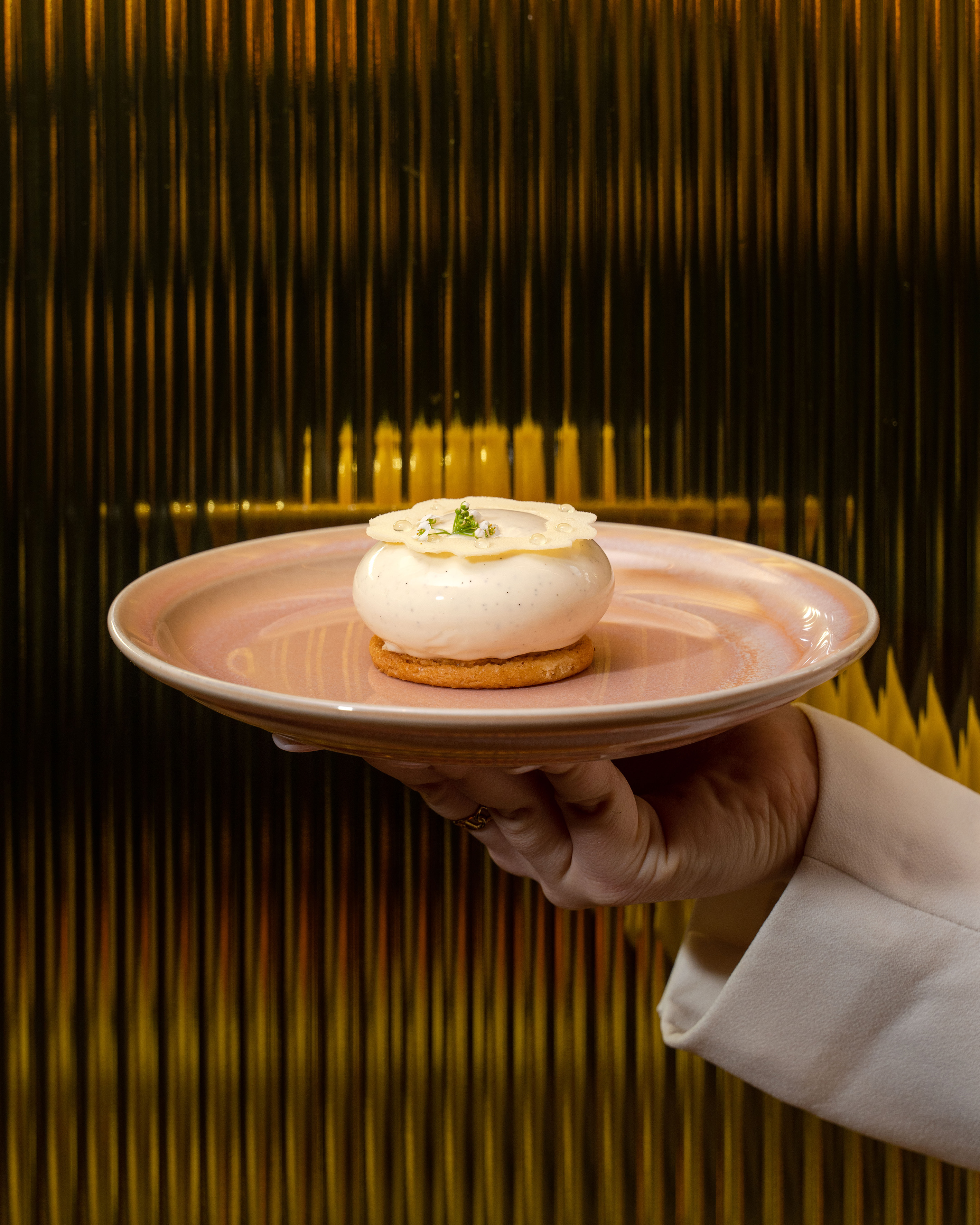 a hand holding a plate of food