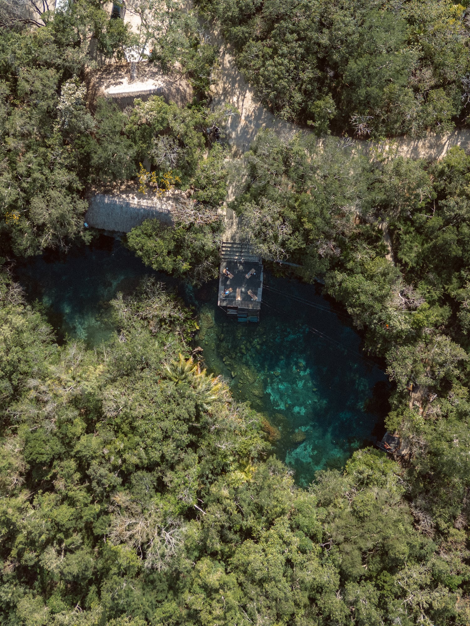 a small pond surrounded by trees