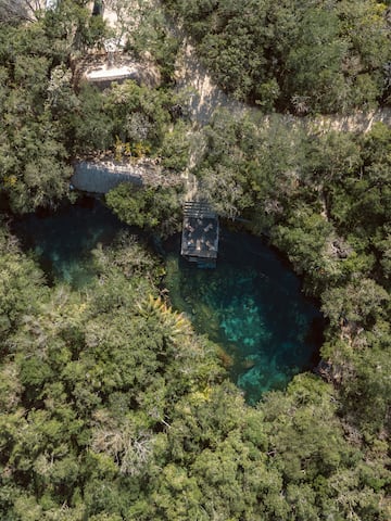 a small pond surrounded by trees