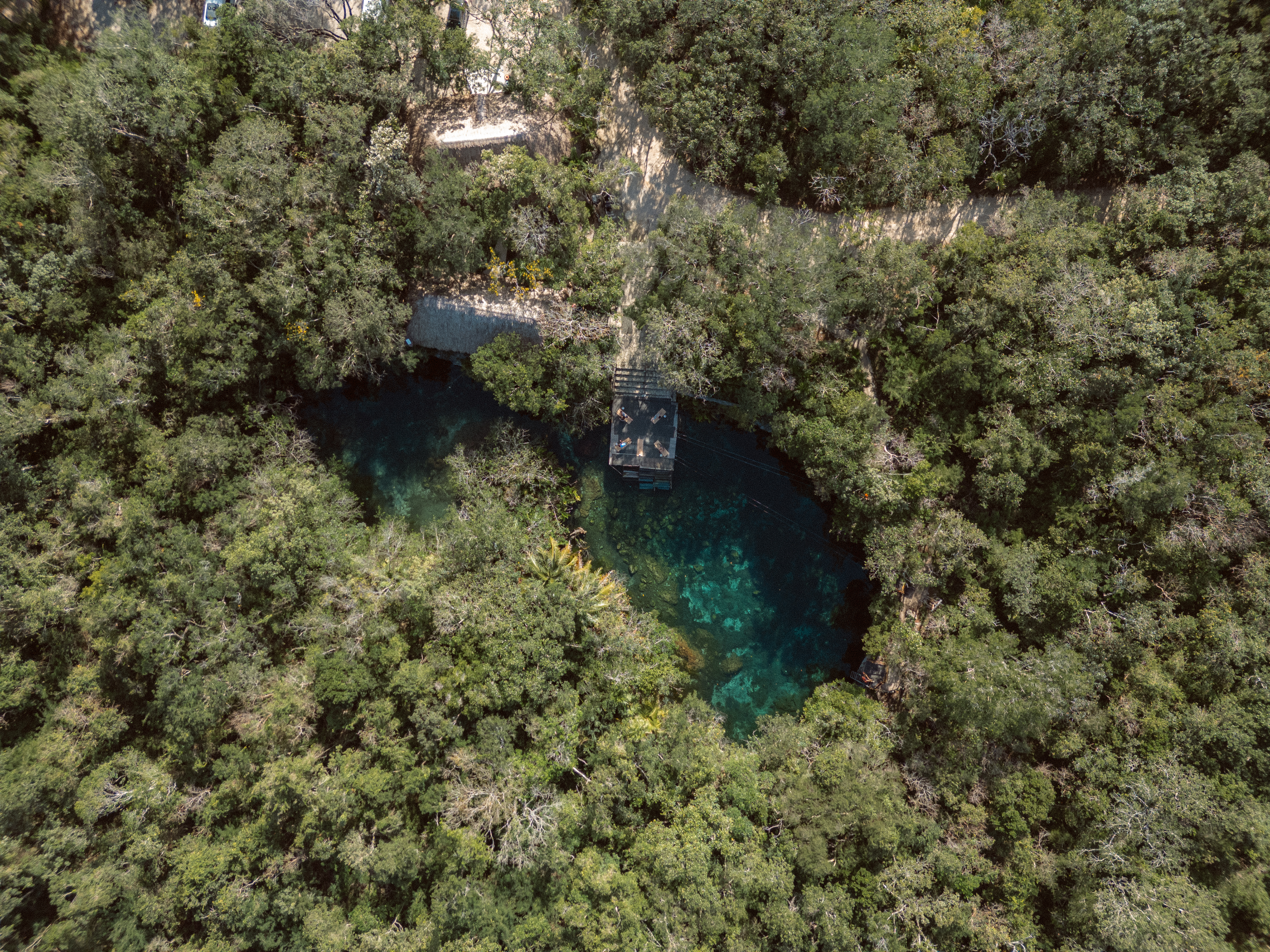 Aerial view of clear turquoise cenote in dense jungle with wooden dock.