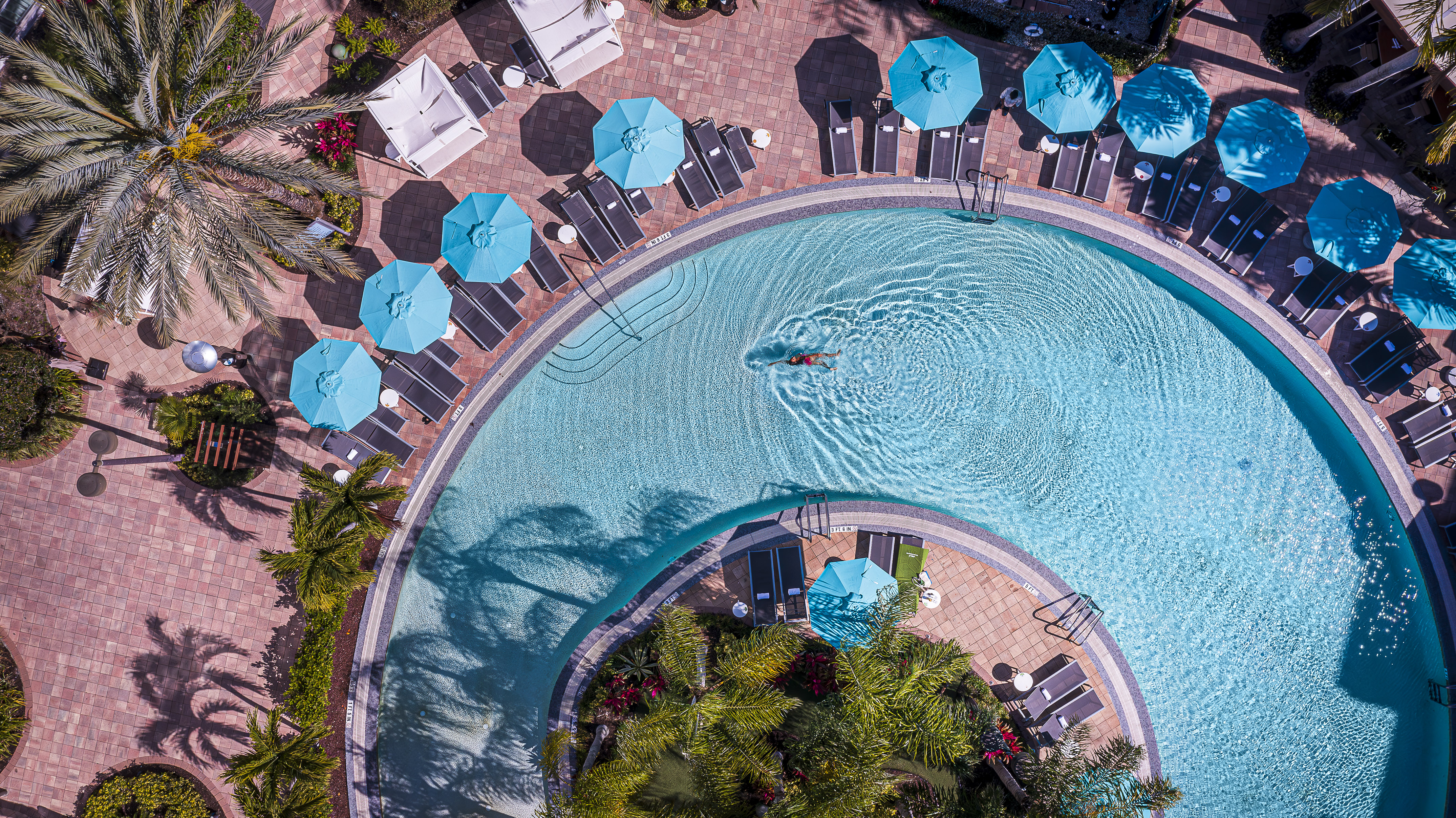 Aerial resort pool with swimmer, turquoise umbrellas, and palm trees.