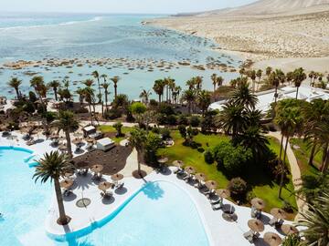 a pool with palm trees and a beach