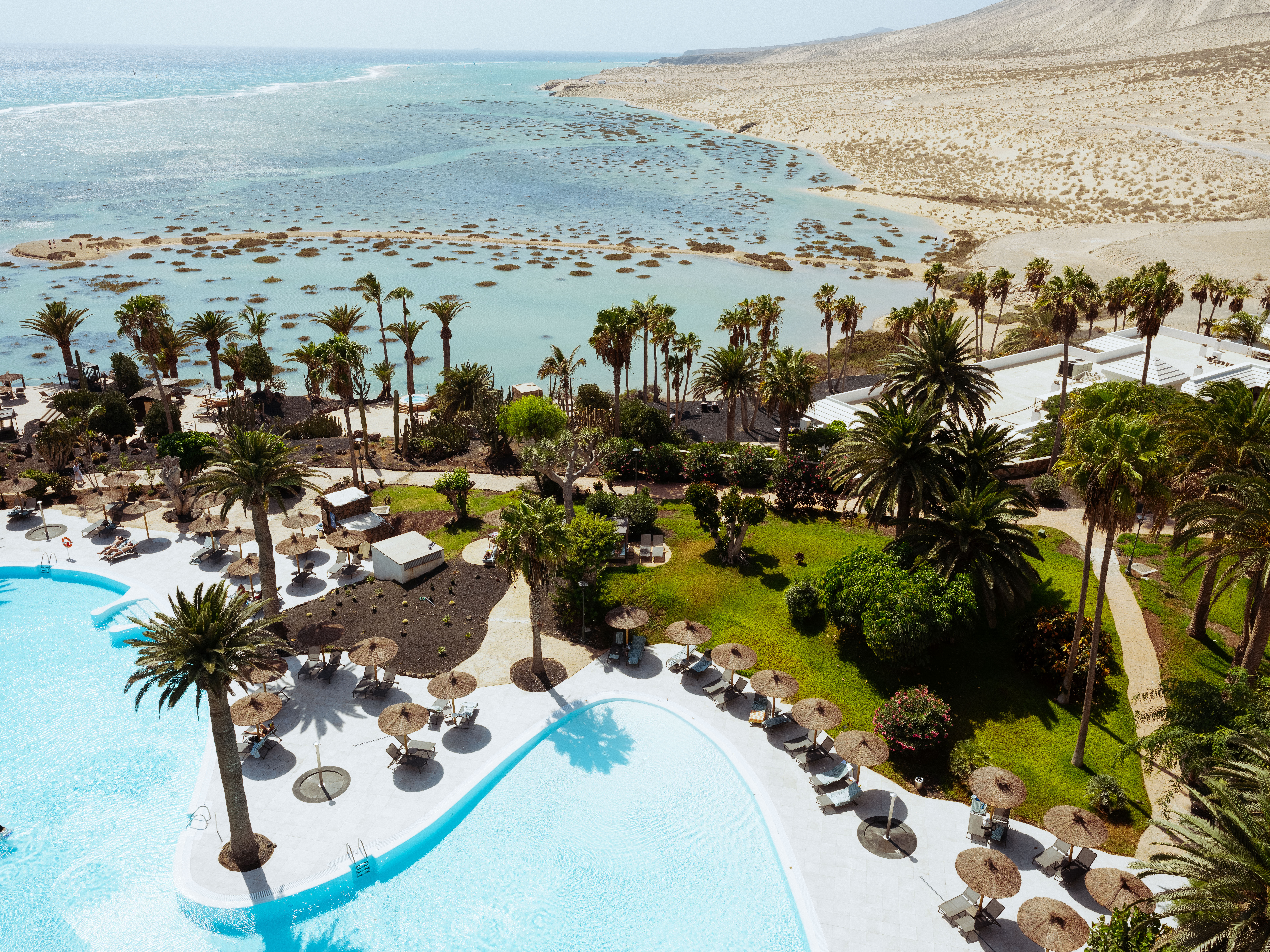 a pool with palm trees and a beach