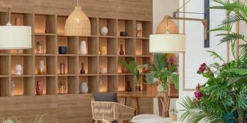 a room with plants and a table