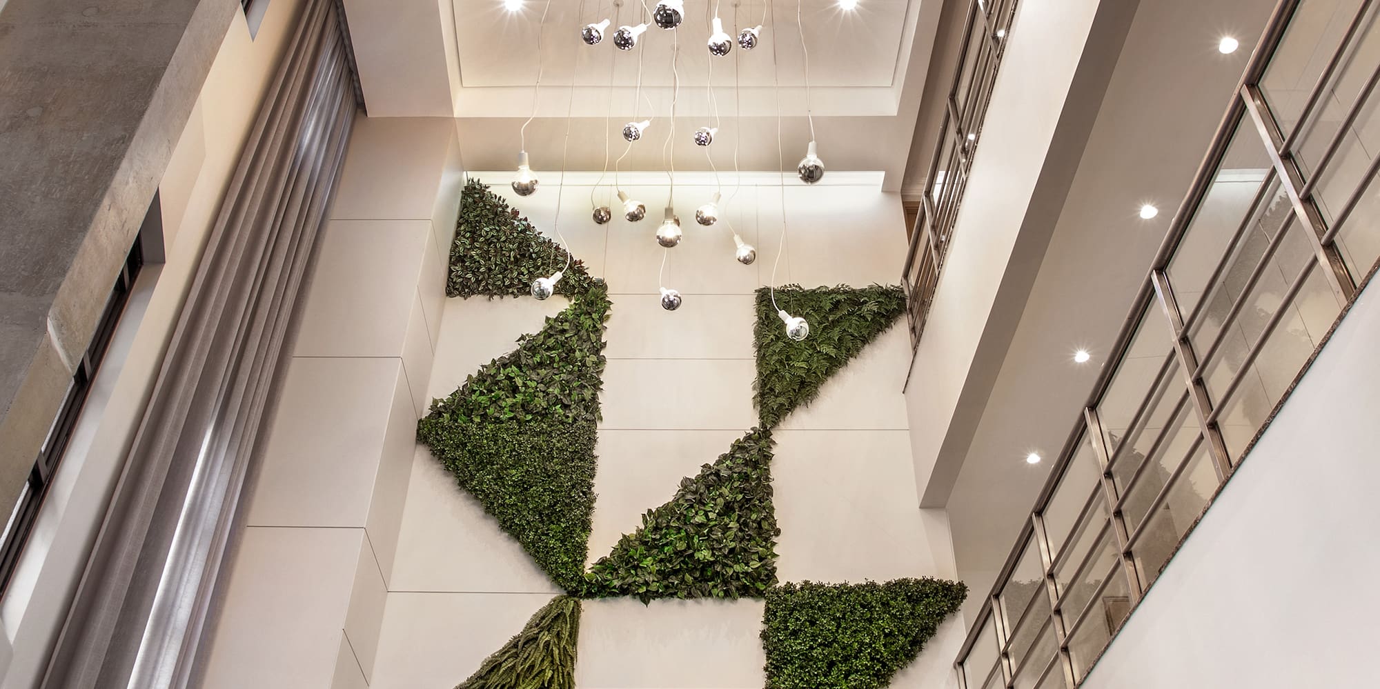 a green plant on a wall