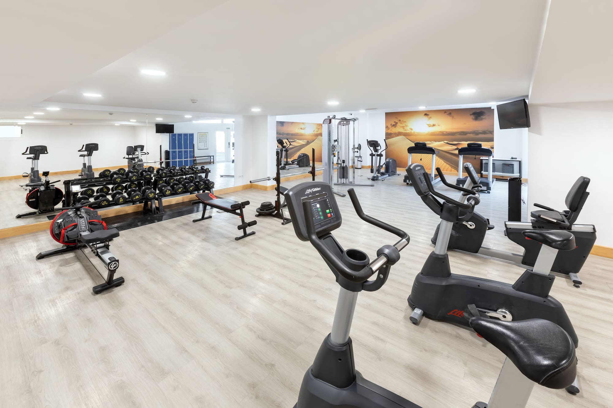 Bright gym with cardio machines, free weights, rowing machine, and desert mural.