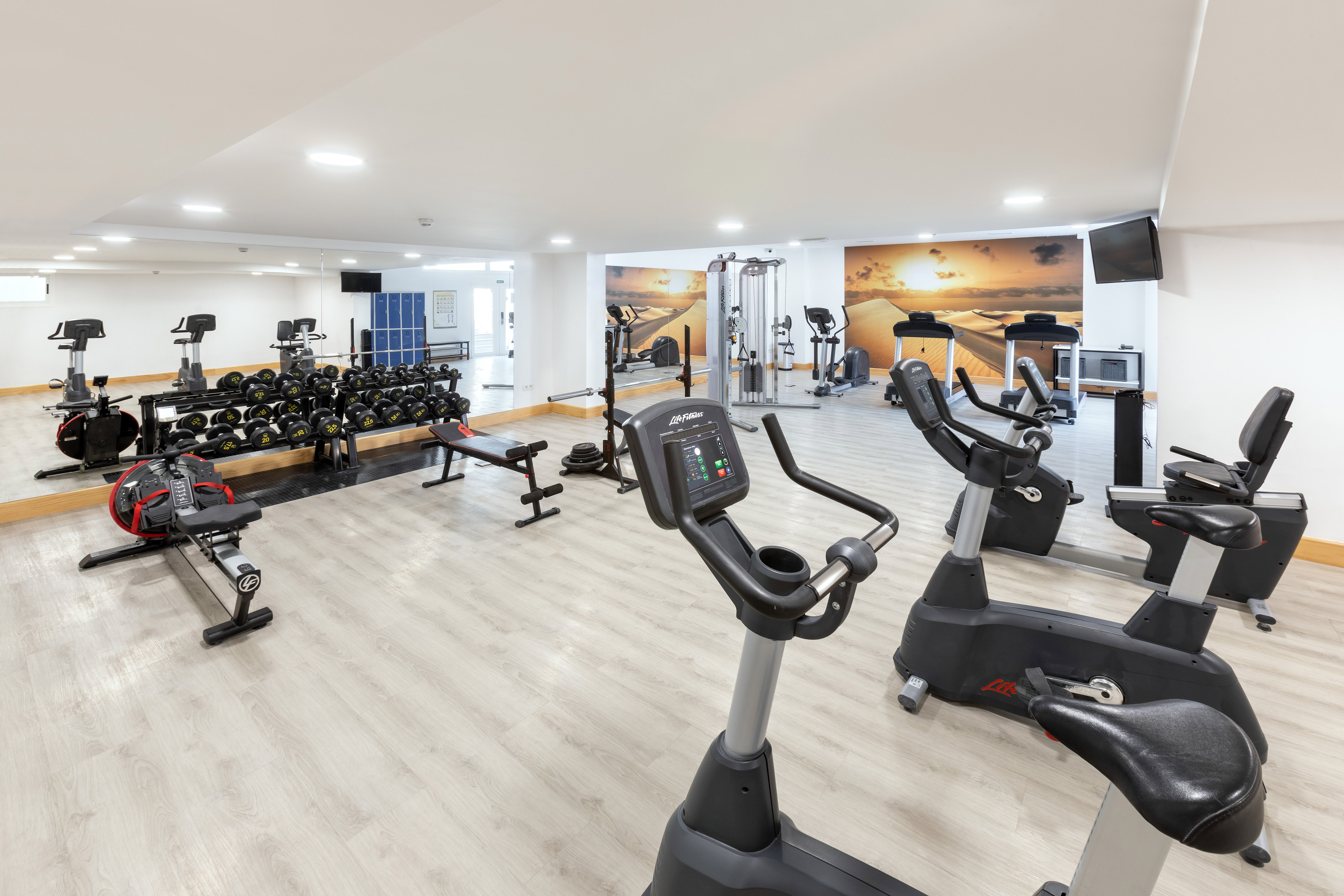 Bright gym with cardio machines, free weights, rowing machine, and desert mural.