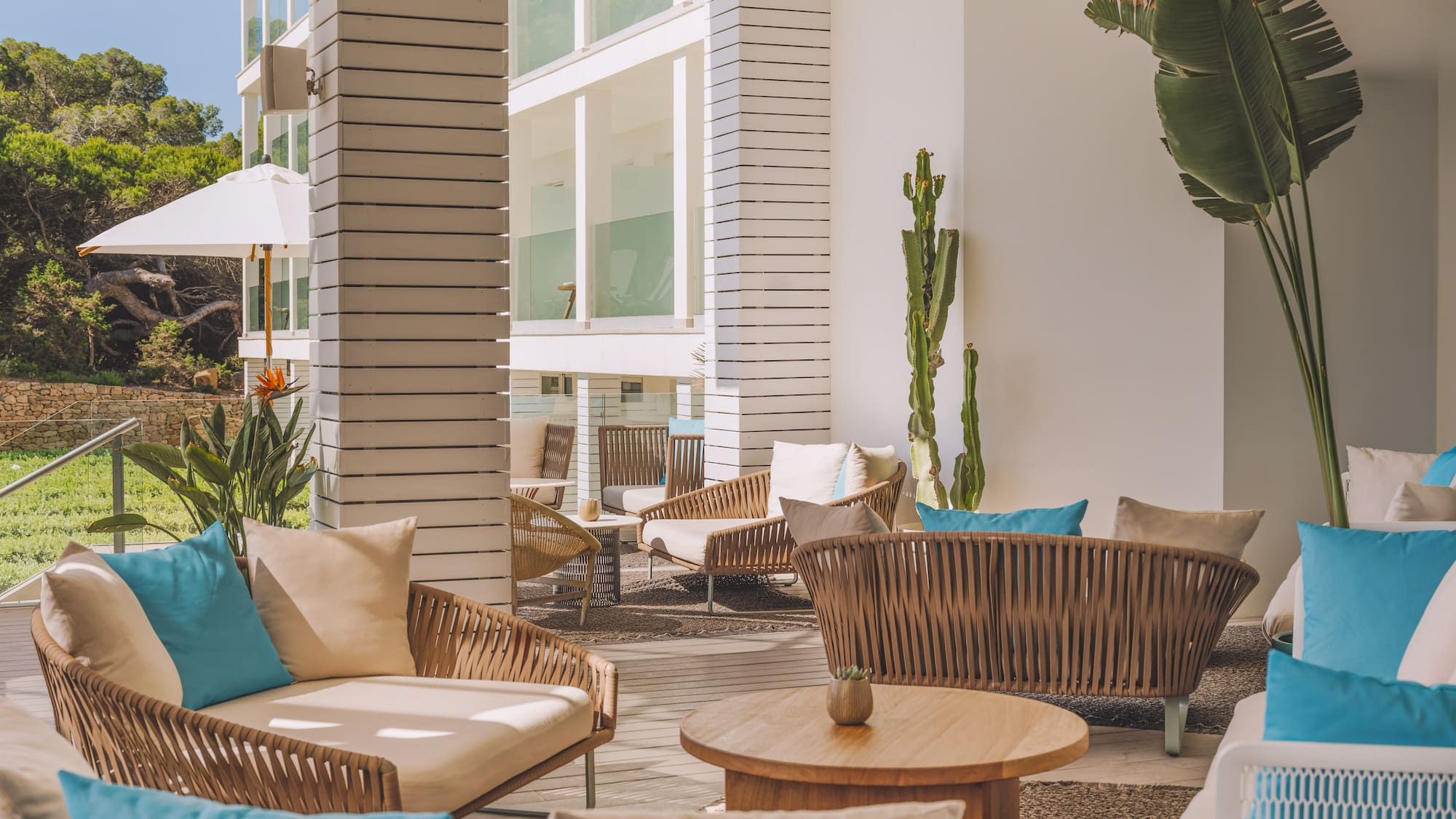 Modern resort outdoor lounge with woven chairs, blue cushions, and cacti.