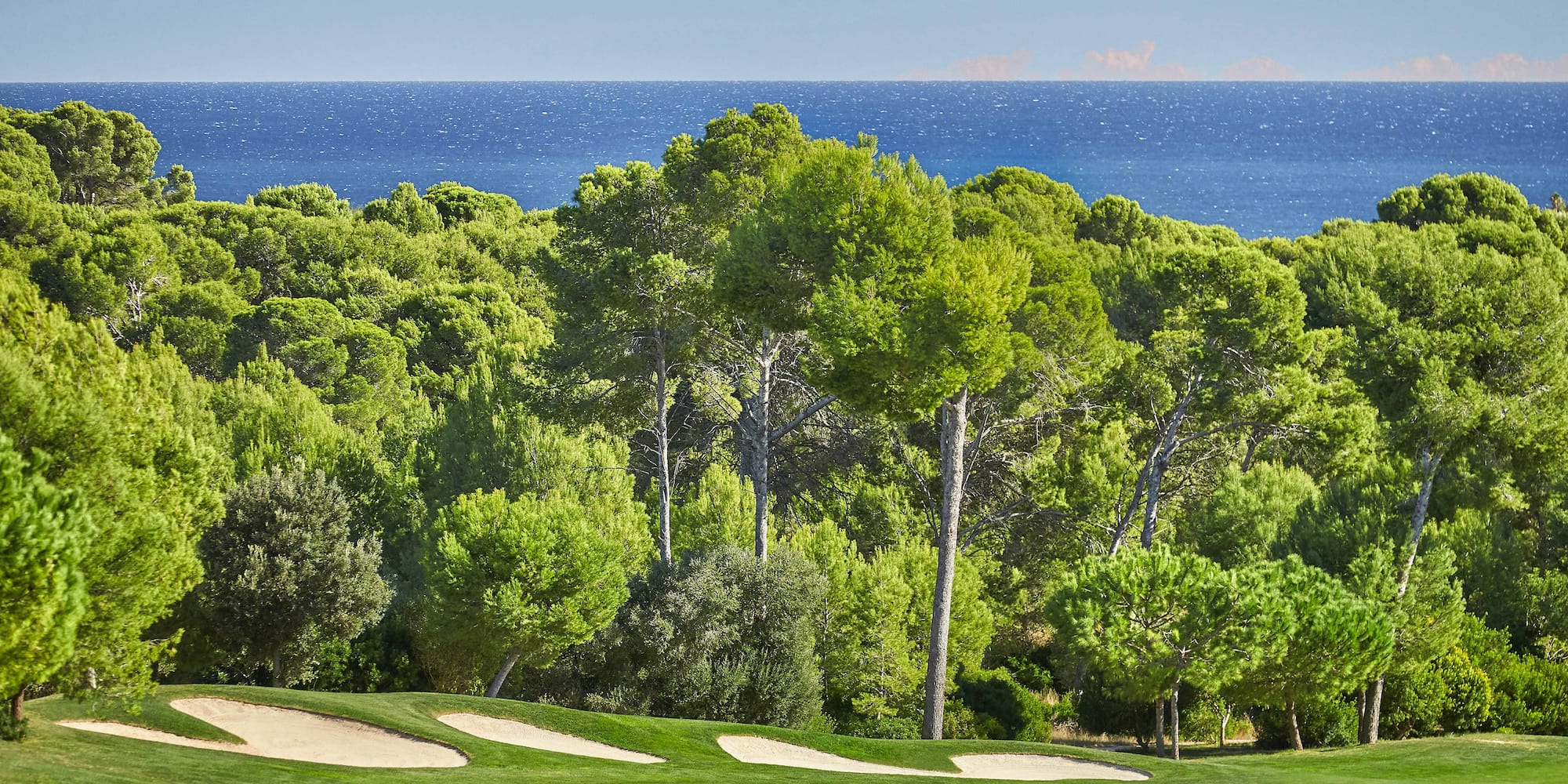 a golf course with trees and water in the background