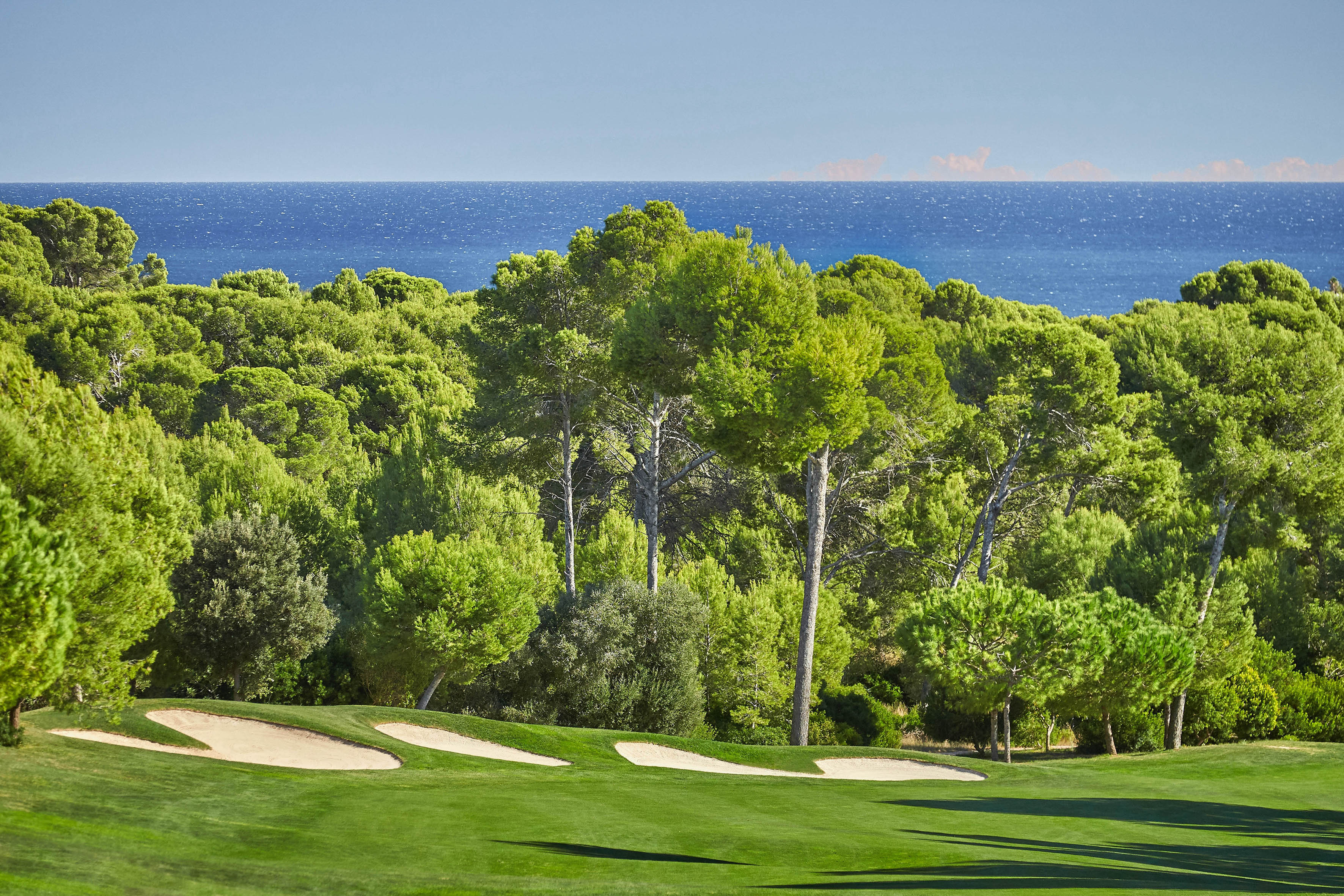 a golf course with trees and water in the background
