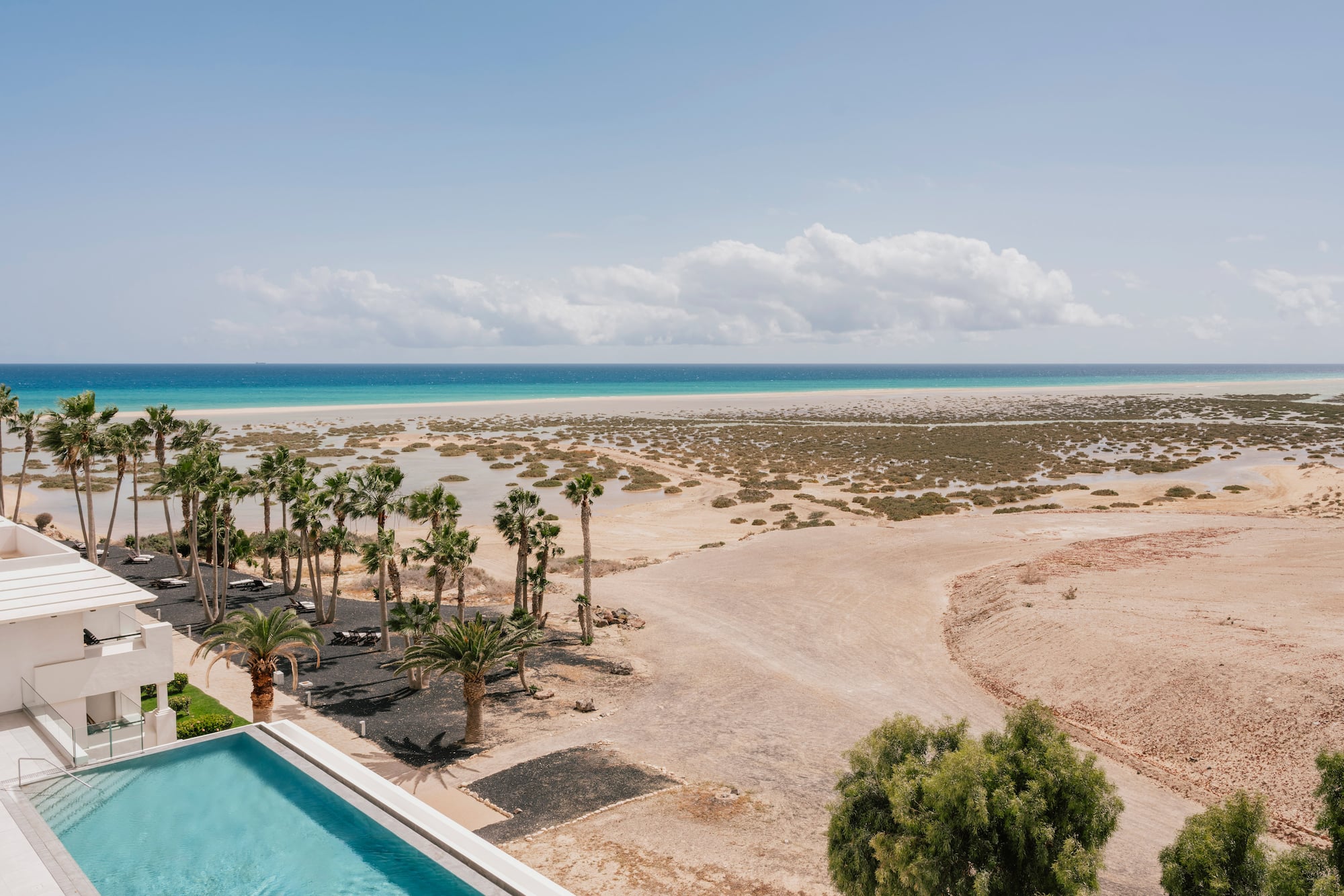 Hotel pool and palm trees overlooking a sandy beach and turquoise ocean.