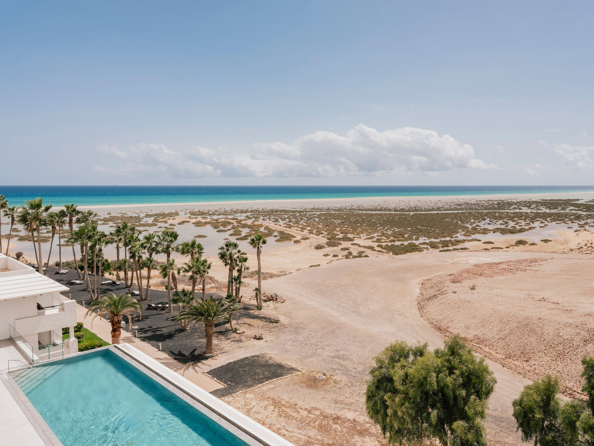 Hotel infinity pool overlooking sandy beach, palm trees, and turquoise ocean.