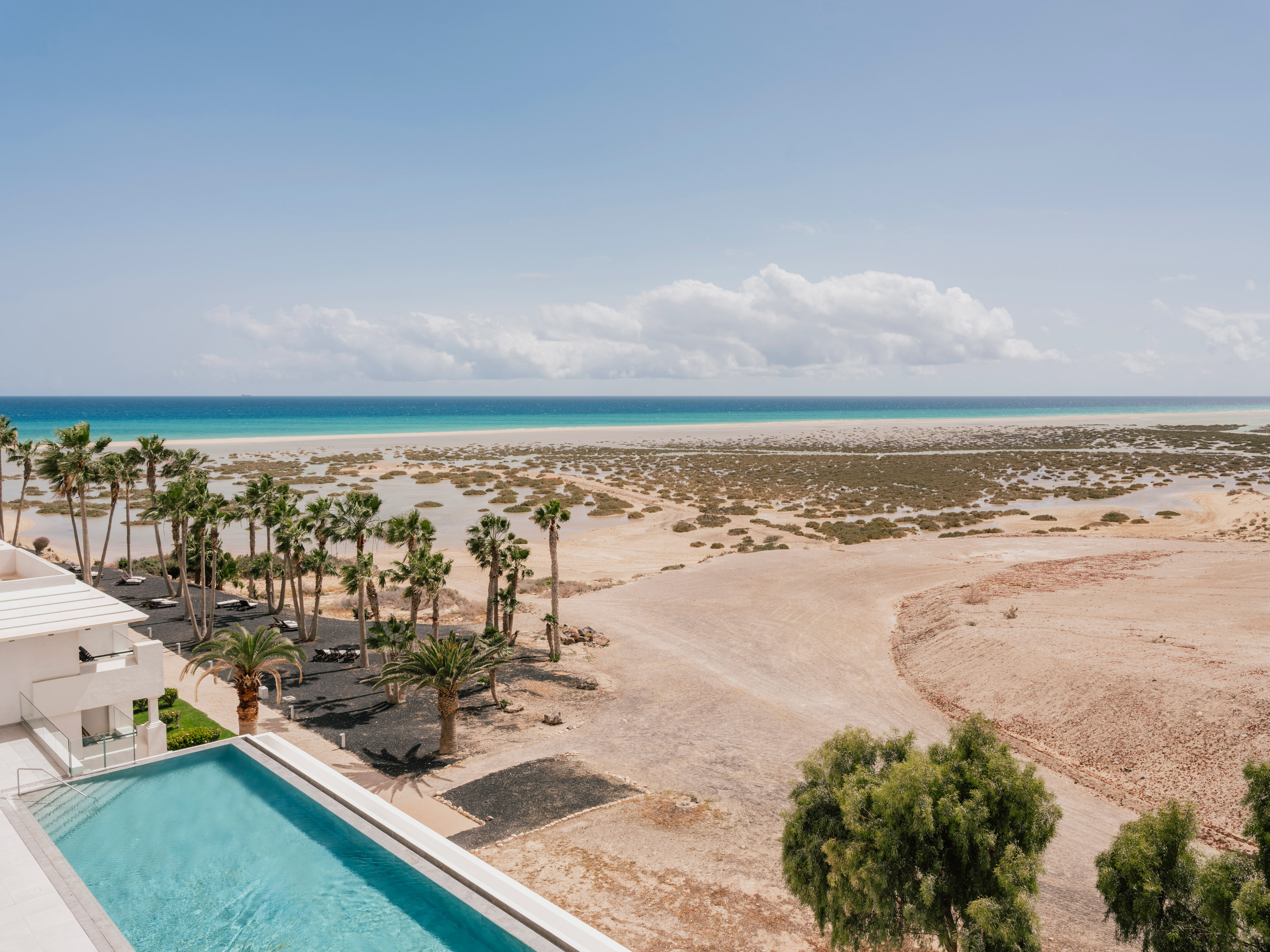 Hotel pool and palm trees overlooking a sandy beach and turquoise ocean.