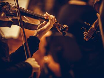 a person playing a violin