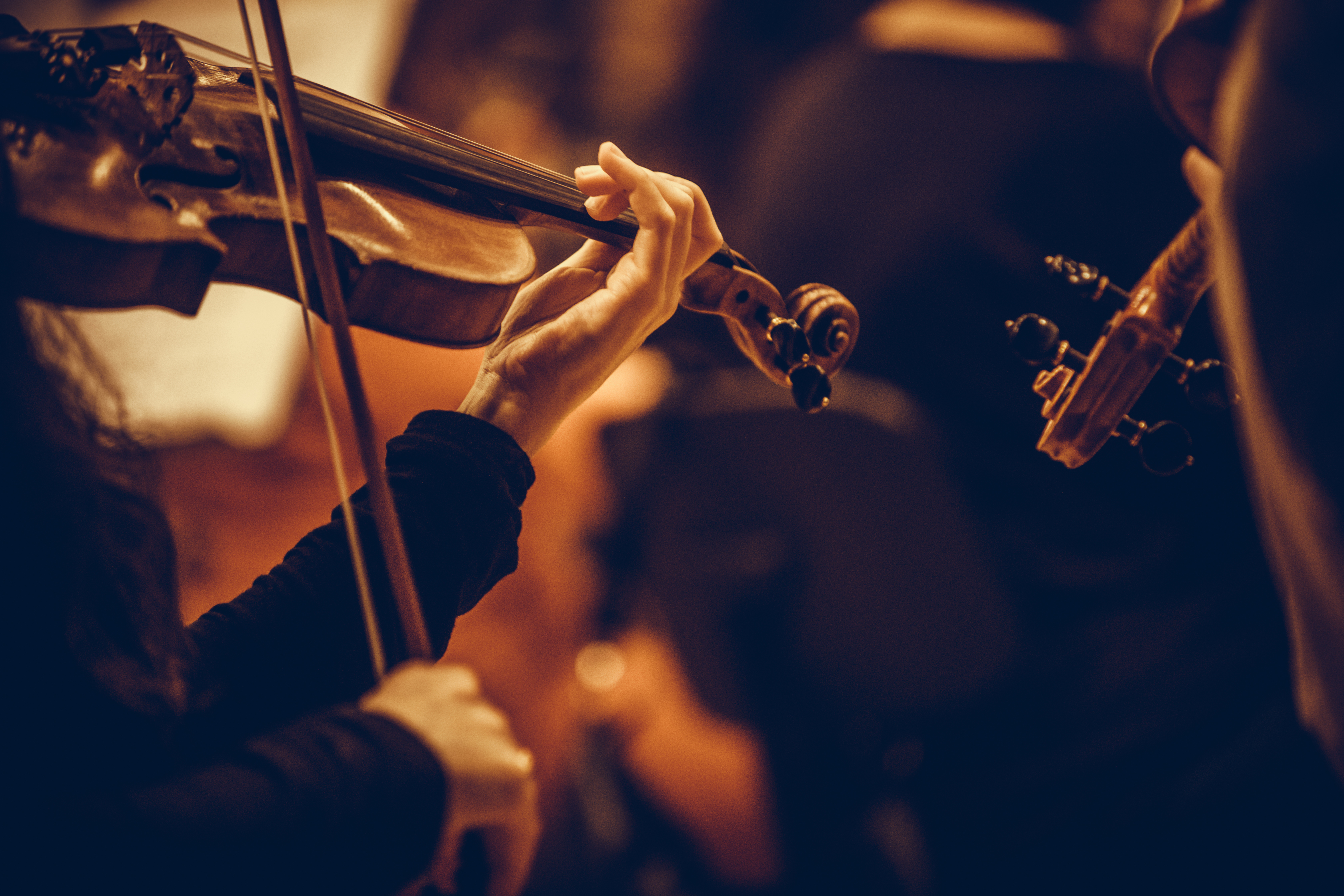 a person playing a violin