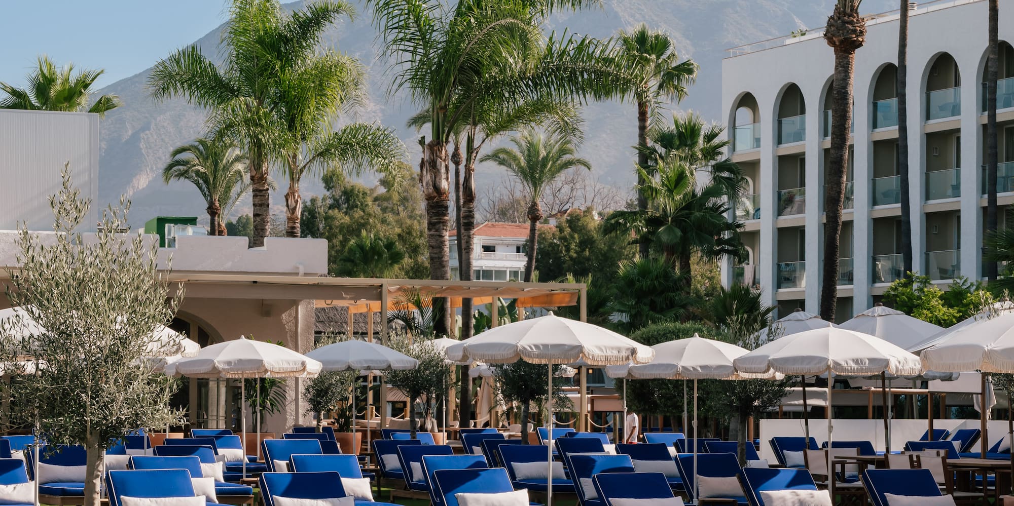 a group of lounge chairs and umbrellas in a resort