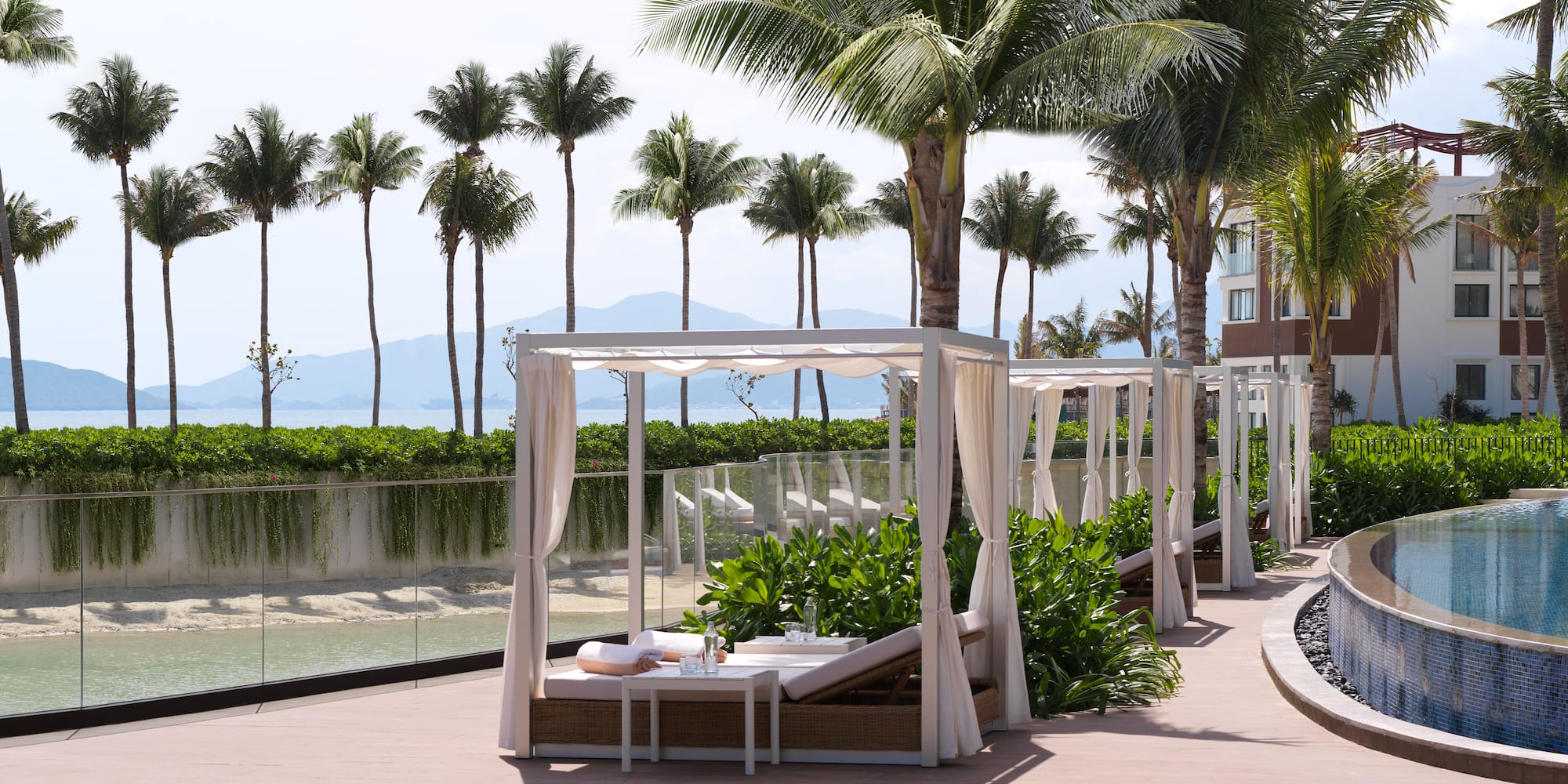 a lounge chairs and a pool with palm trees