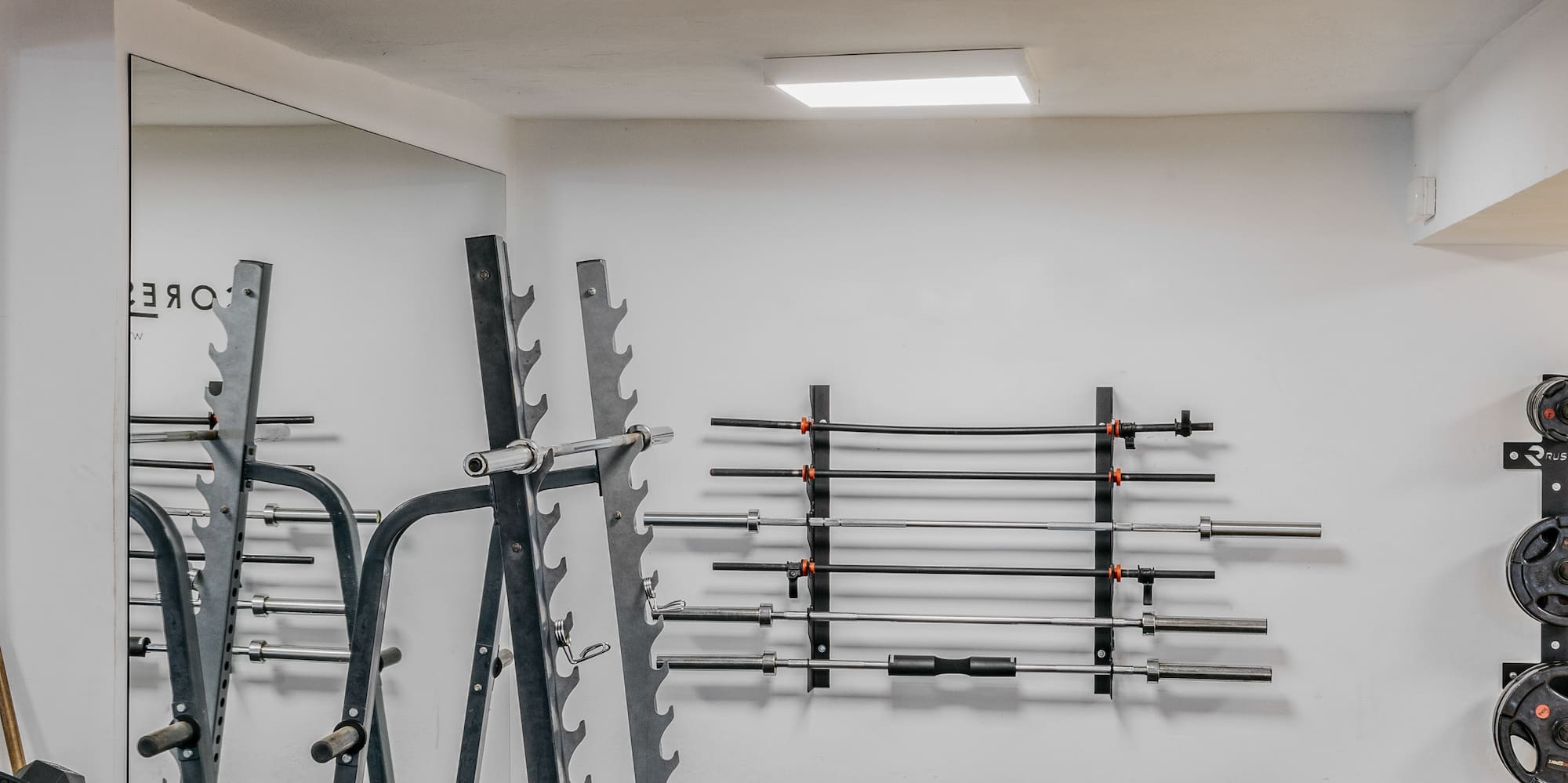 a gym with weights and a mirror