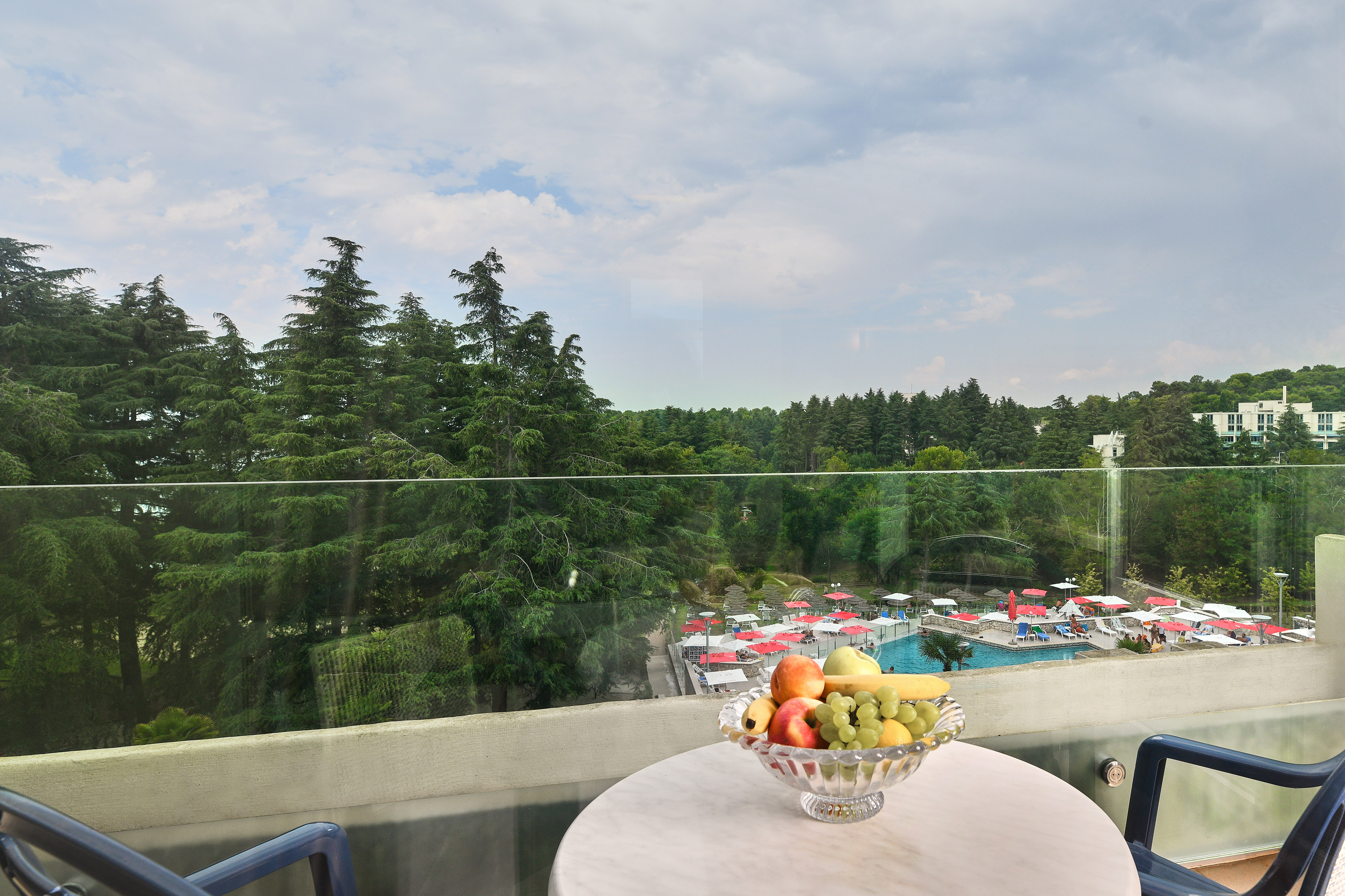 a bowl of fruit on a table overlooking a pool
