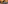 Modern sushi restaurant with prominent curved wooden arches and dining tables.
