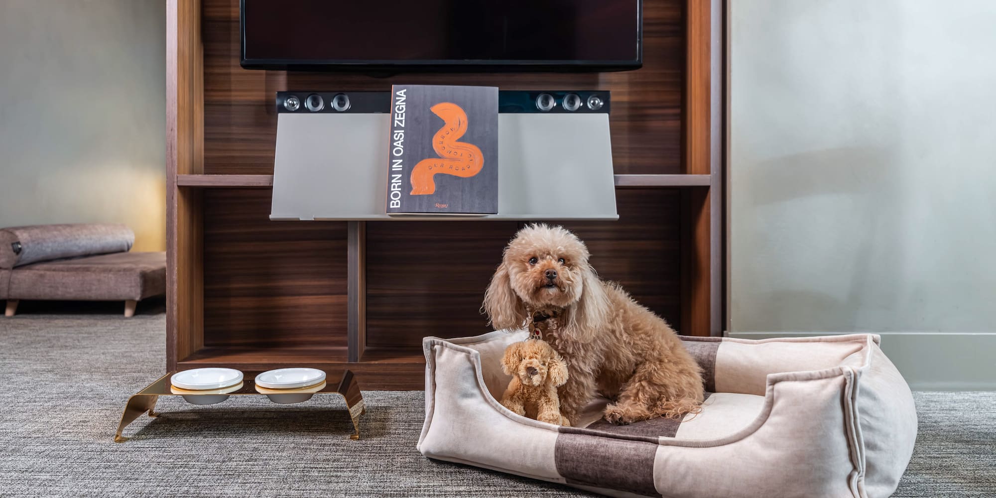 a dog sitting in a dog bed
