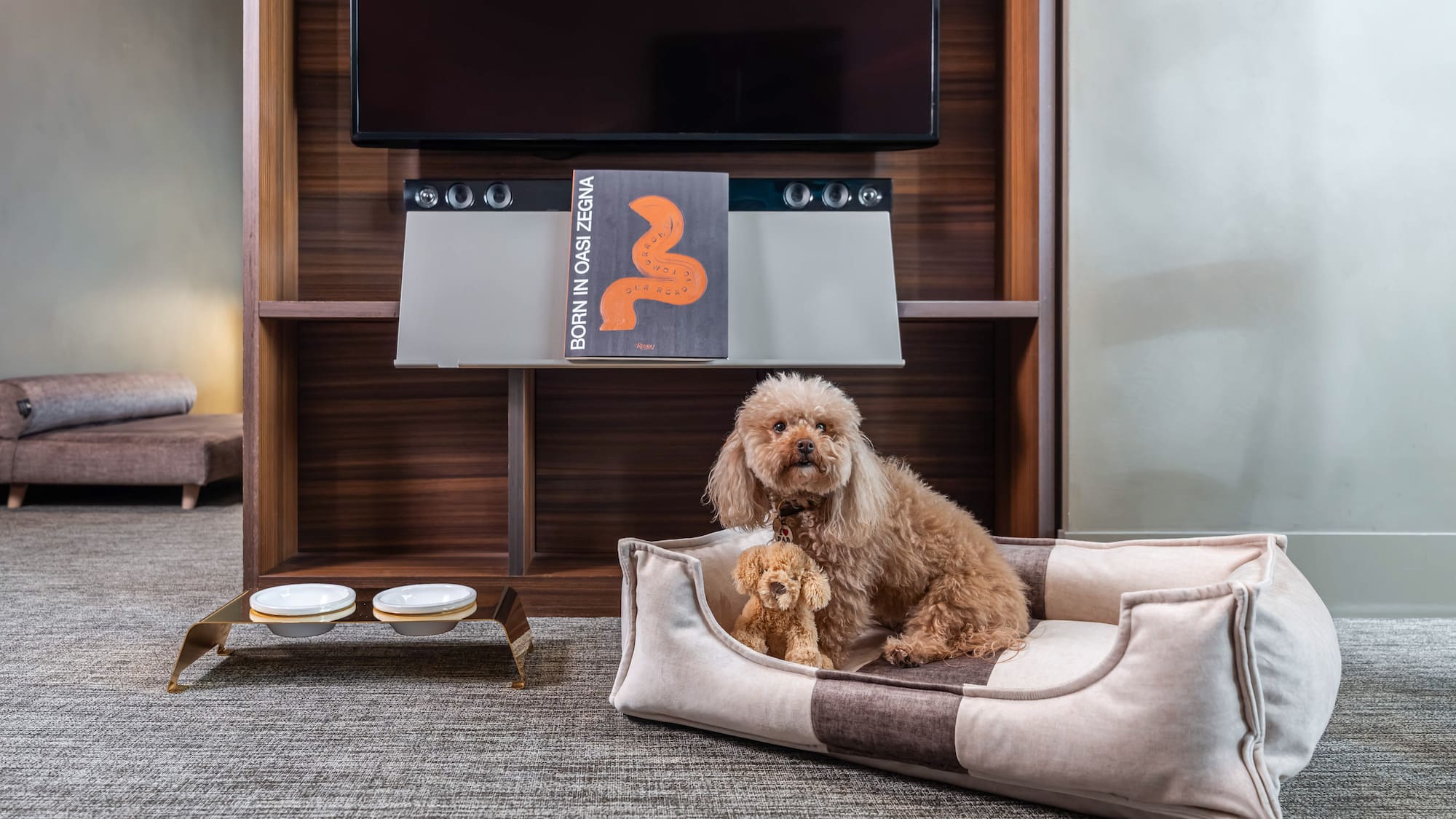 a dog sitting in a dog bed