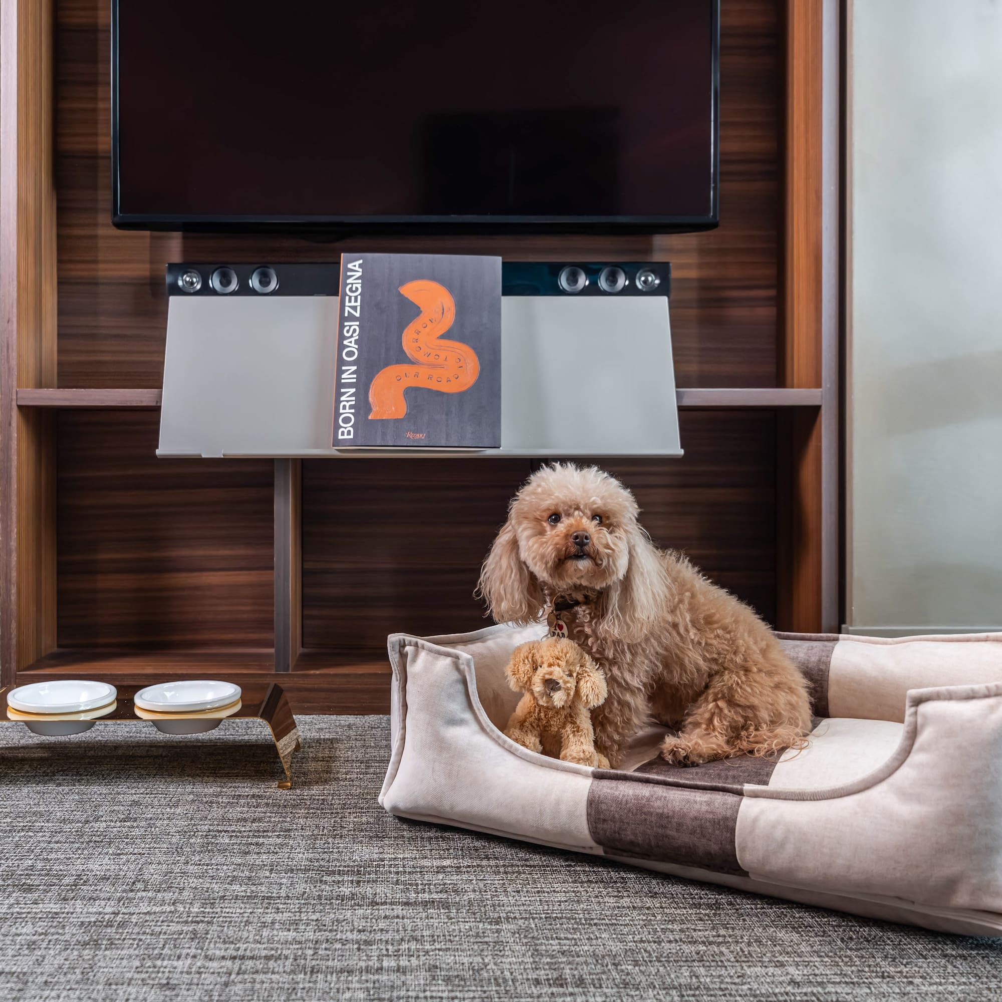 a dog sitting in a dog bed
