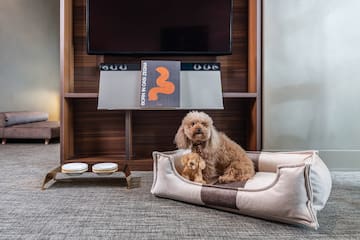 a dog sitting in a dog bed