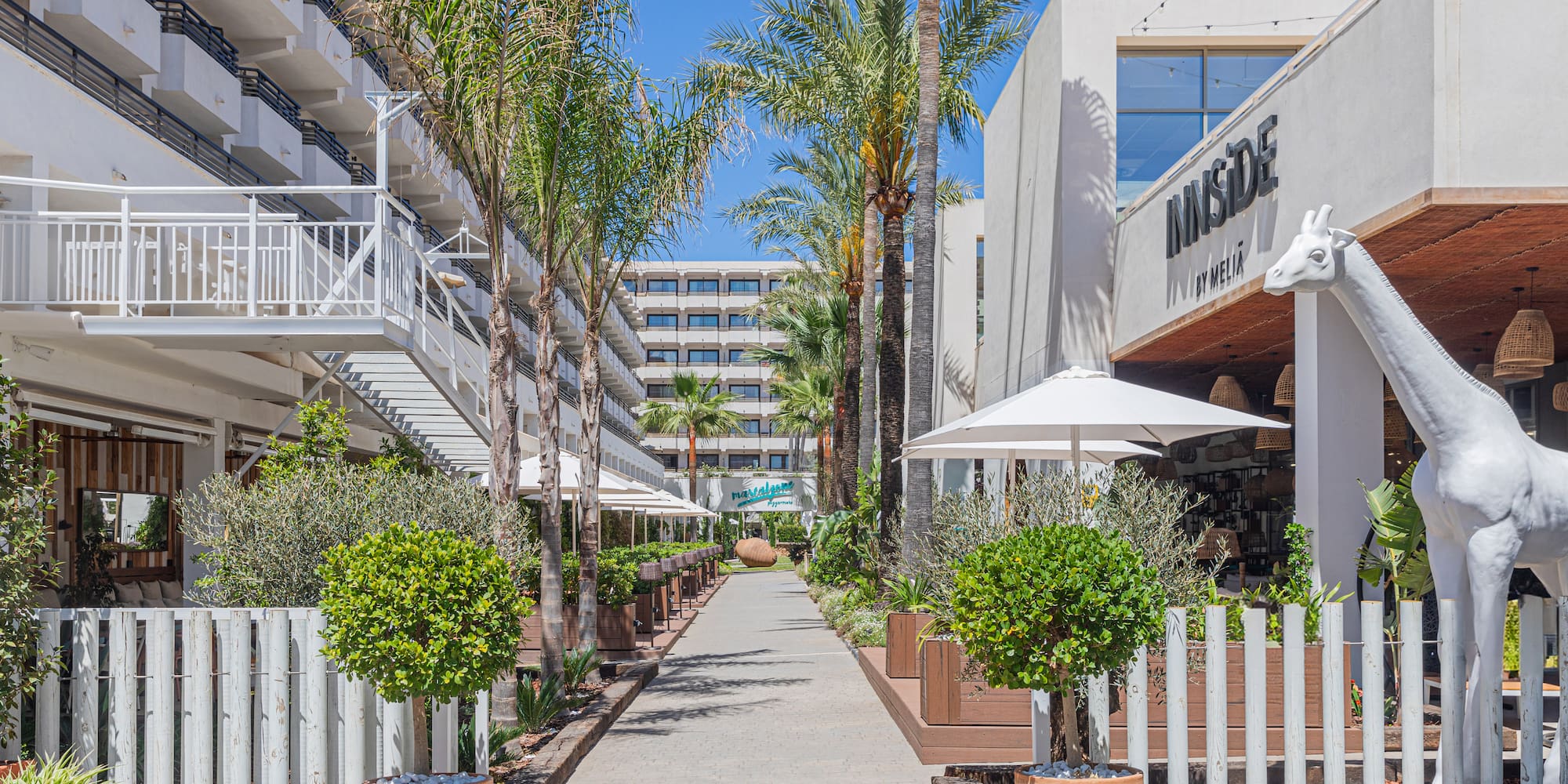 a walkway with trees and plants in pots