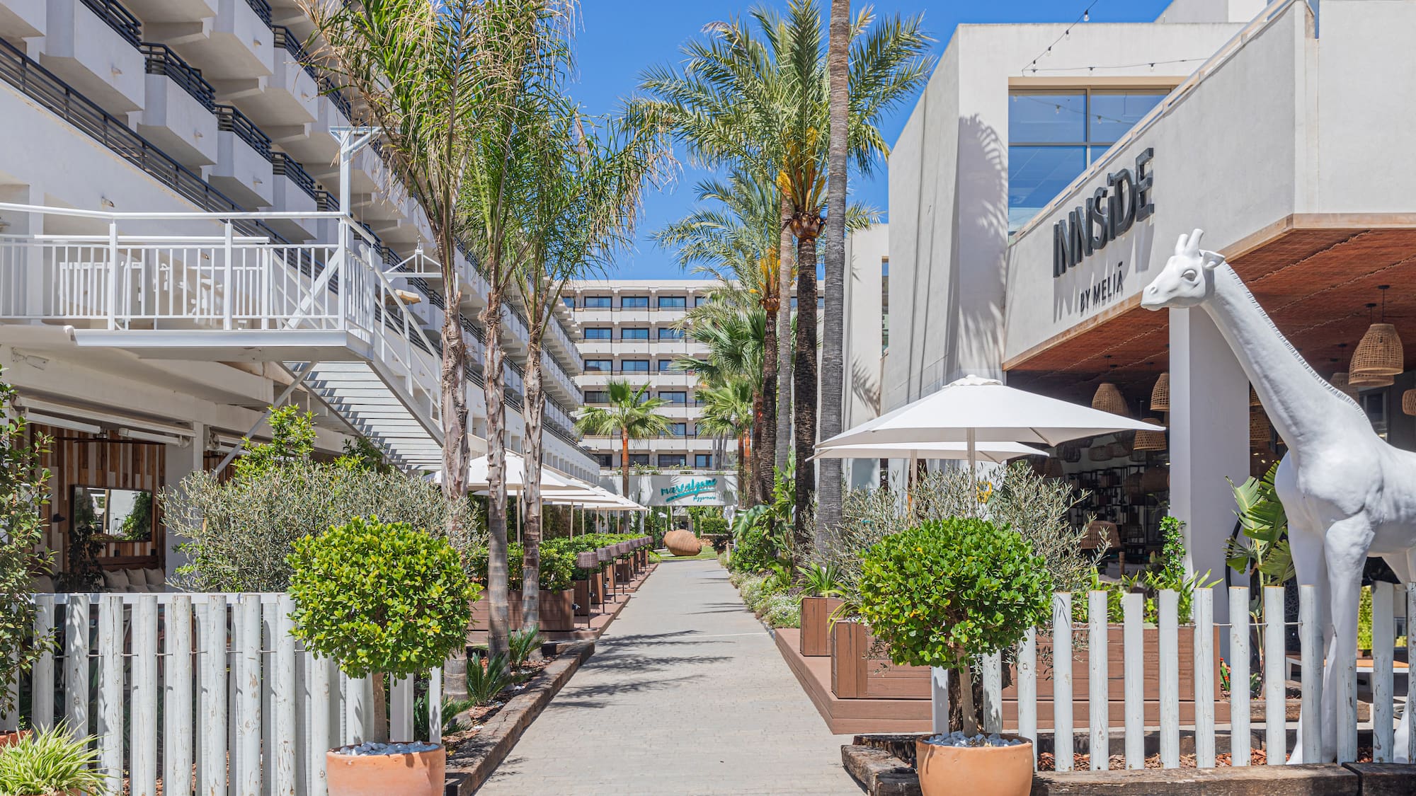 a walkway with trees and plants in pots