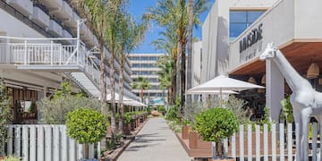 a walkway with trees and plants in pots