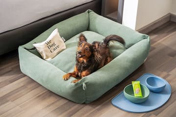 a dog lying in a dog bed