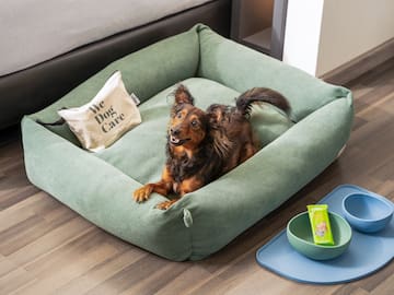 a dog lying in a dog bed
