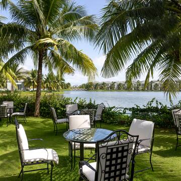 a table and chairs on grass with palm trees and water in the background