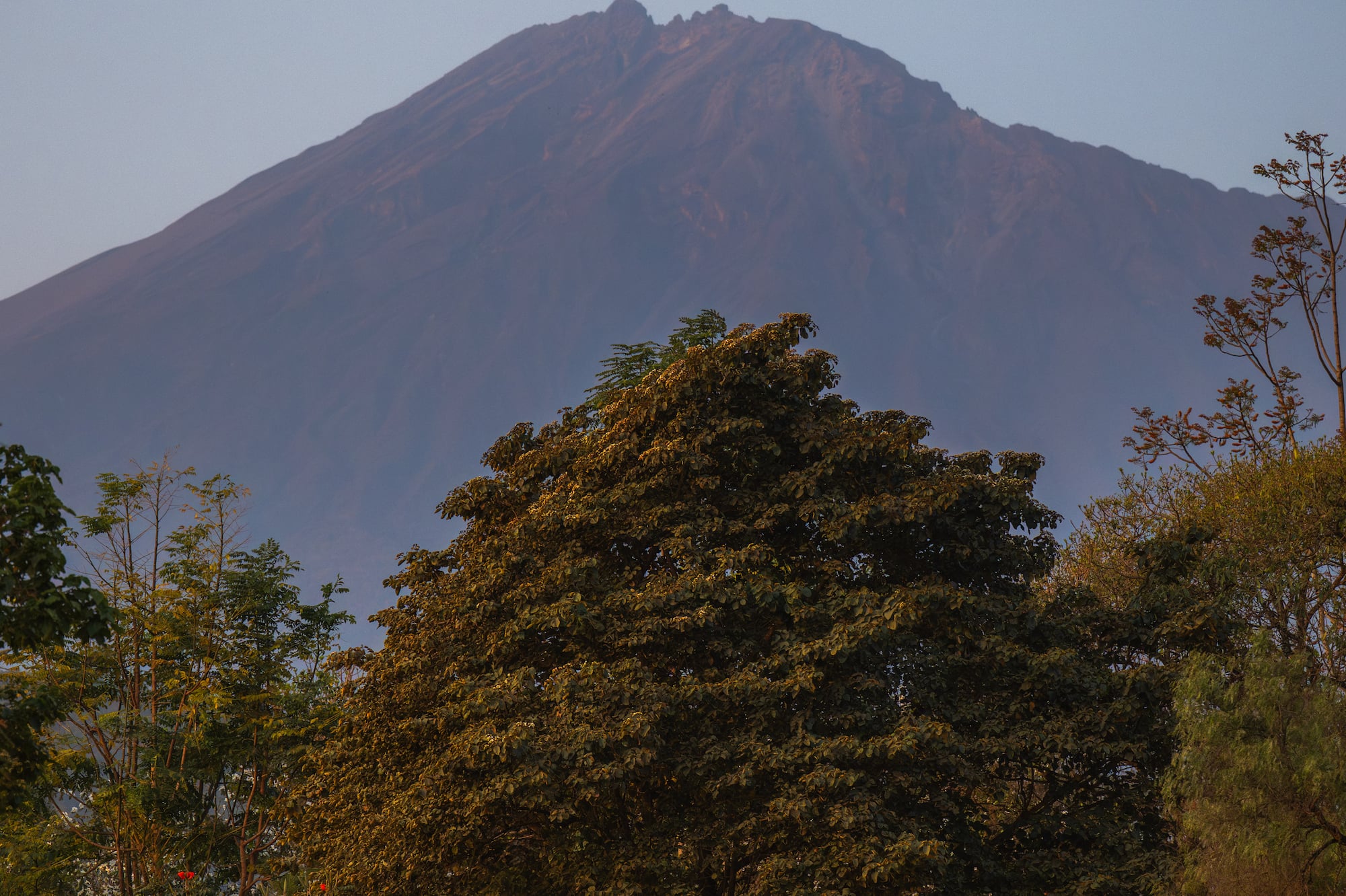 Mountain landscape with deep green trees and soft evening lights at dusk.