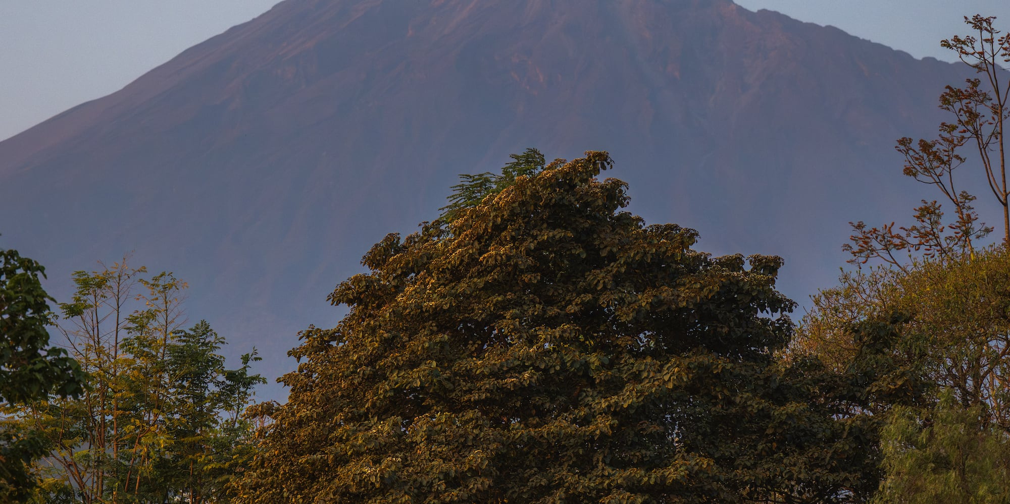 a mountain with trees and a blue sky