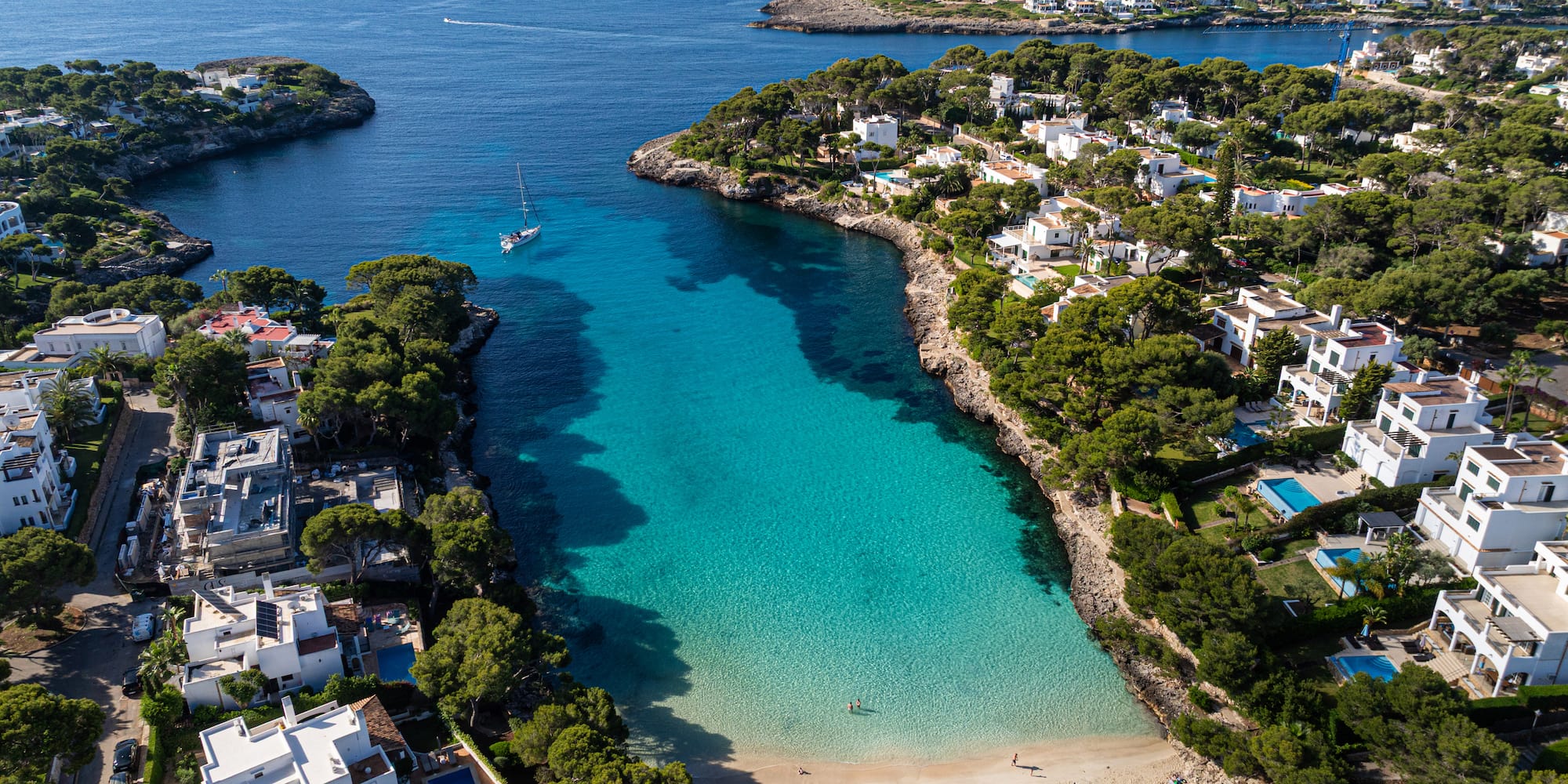 a body of water with trees and buildings