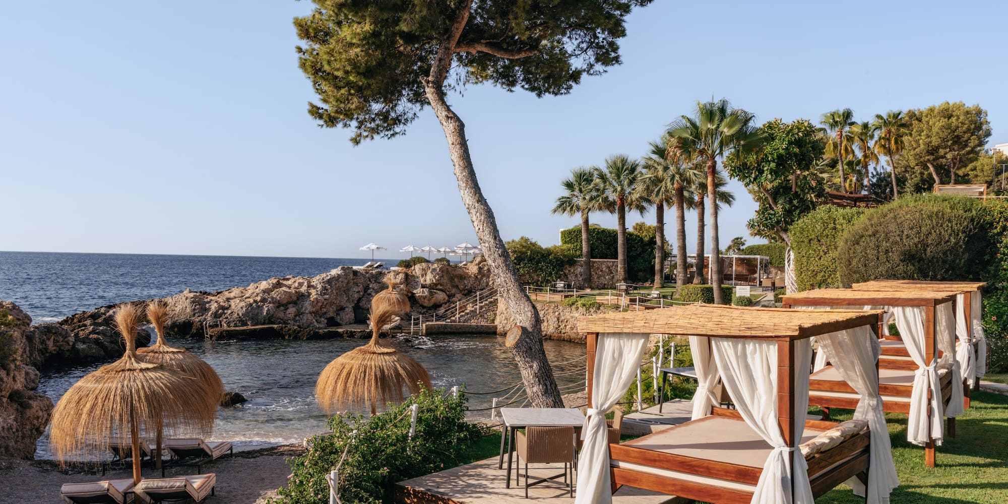 a beach with a gazebo and palm trees