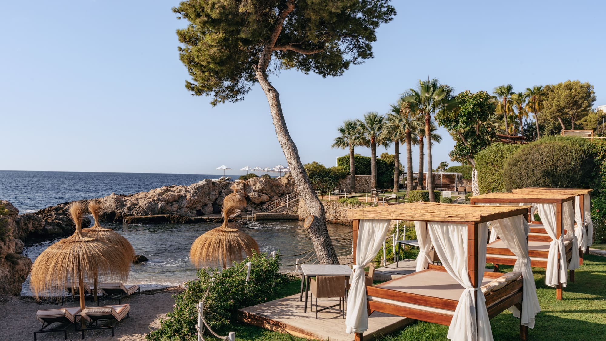 a beach with a gazebo and palm trees