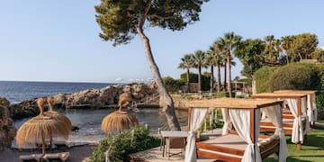 a beach with a gazebo and palm trees