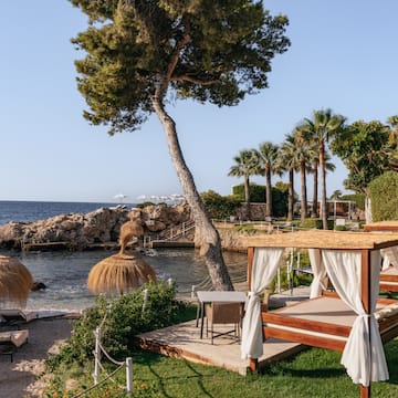 a beach with a gazebo and palm trees.