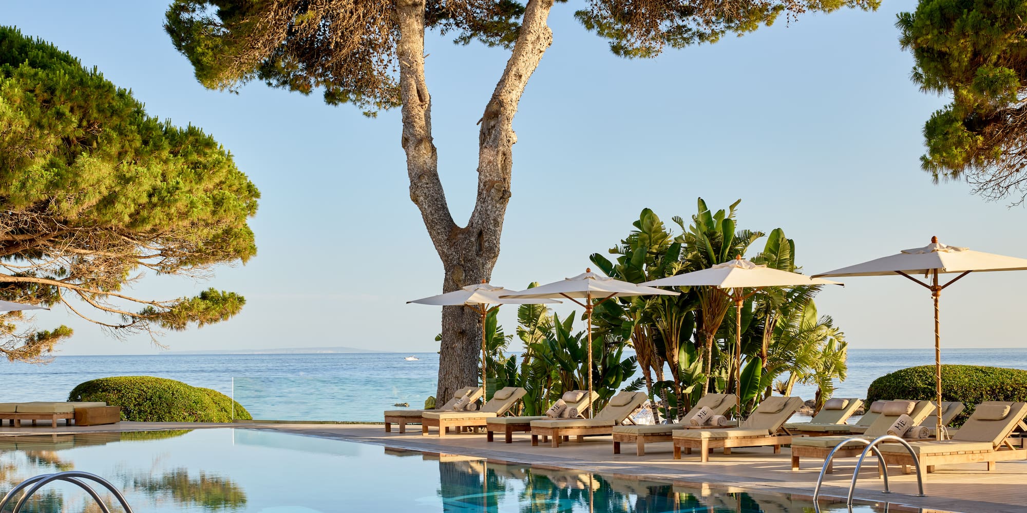 Oceanfront resort pool, sun loungers, umbrellas, and mature pine trees.