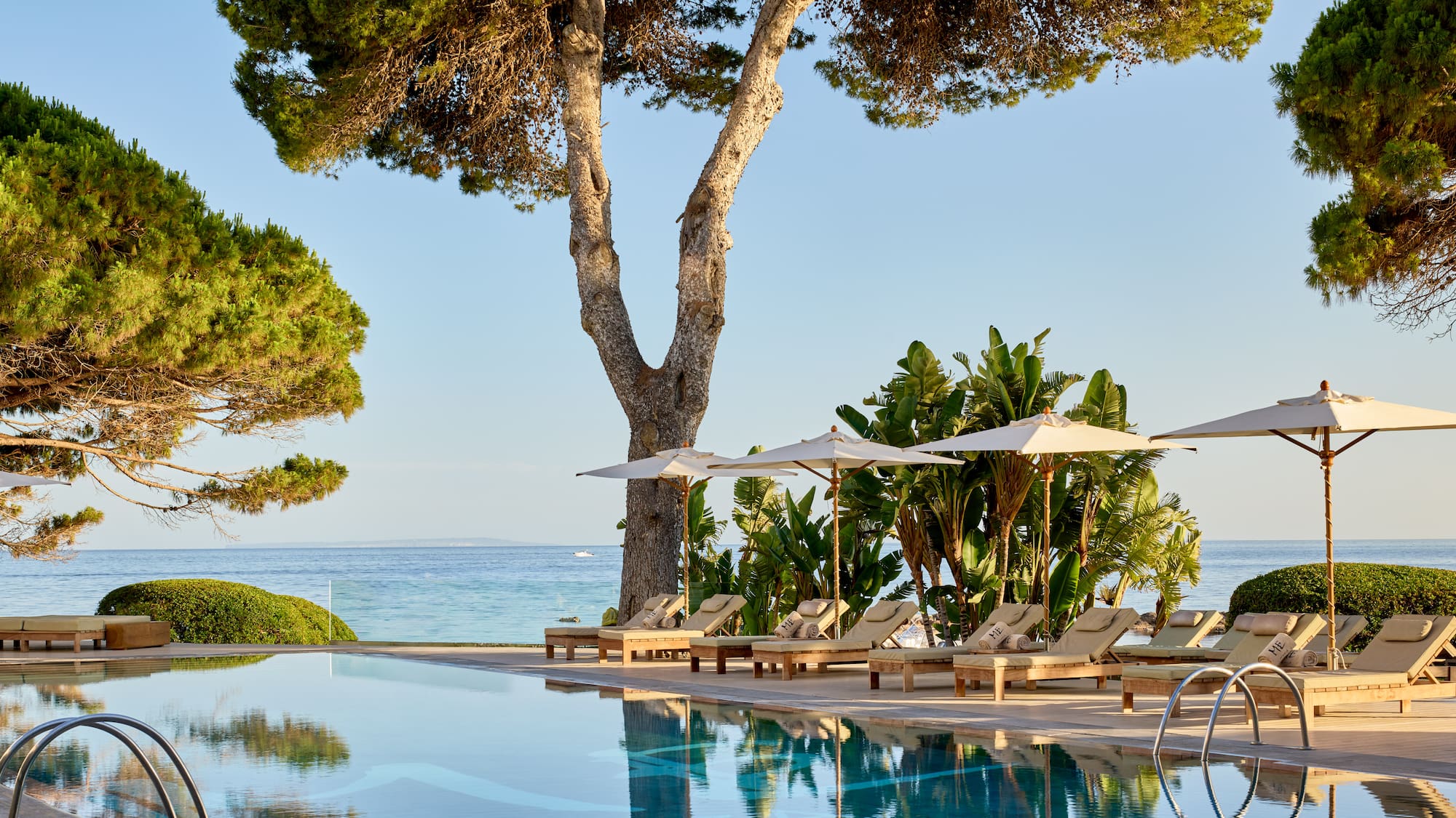 Oceanfront resort pool, sun loungers, umbrellas, and mature pine trees.