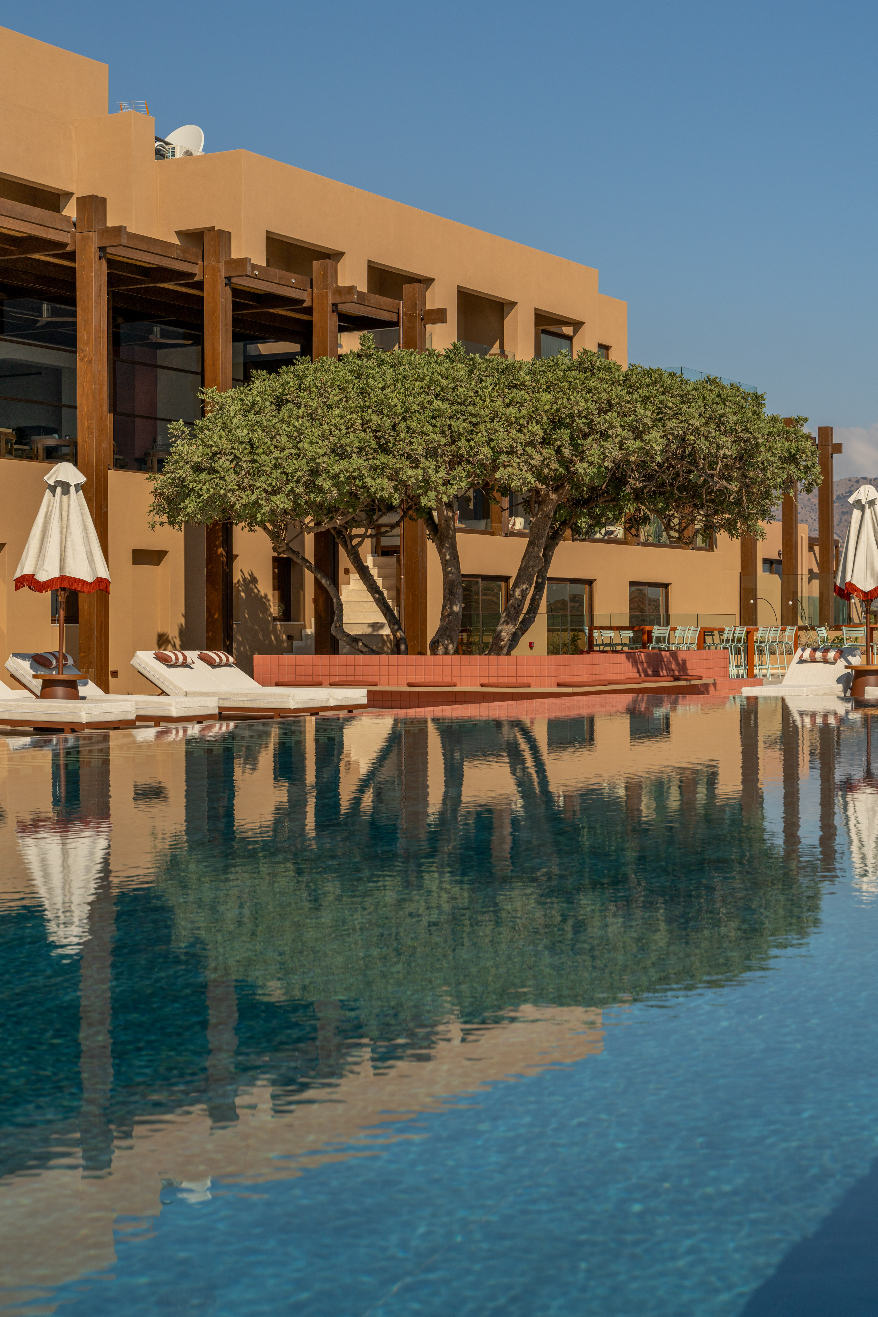 Modern tan resort building with large tree and reflective swimming pool.