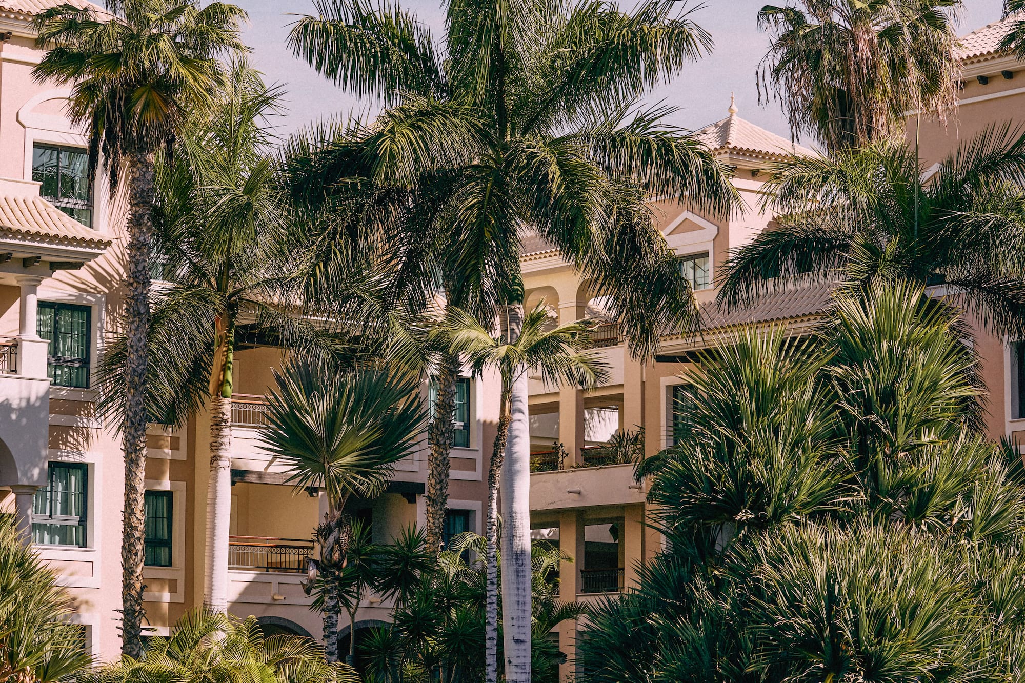 Hotel resort con palmeras, jardines exuberantes y estanque. Ambiente tropical.