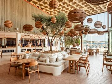 a room with a tree and chairs