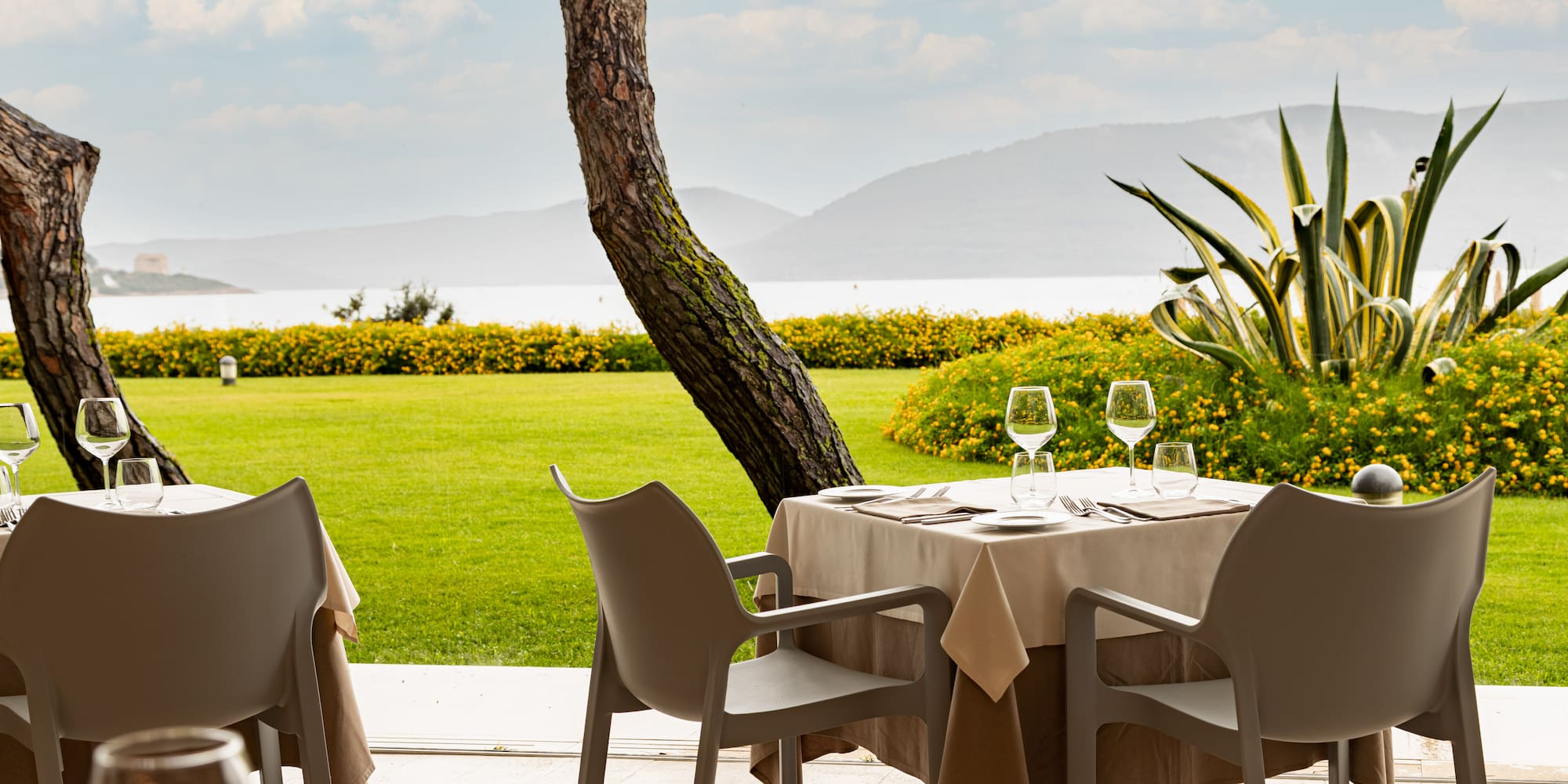 a table set up with chairs and a tree in the background